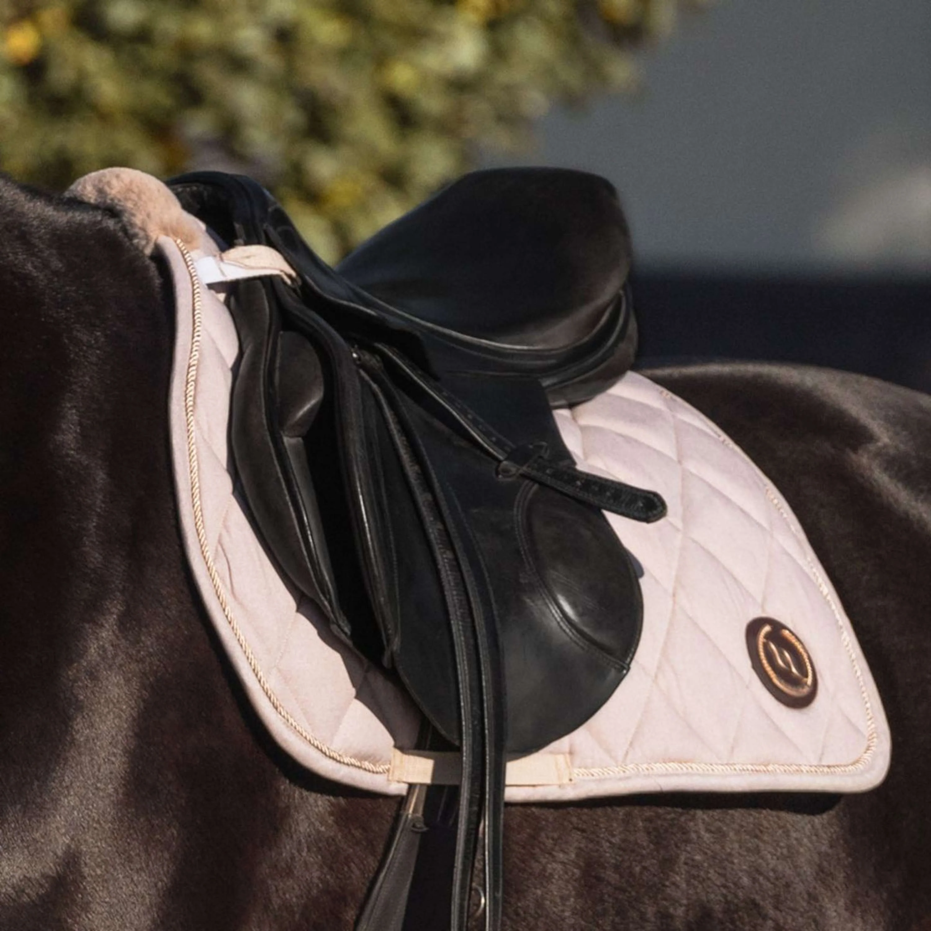 Back on Track Tapis de Selle Haze Dressage Beige clair - Image 3