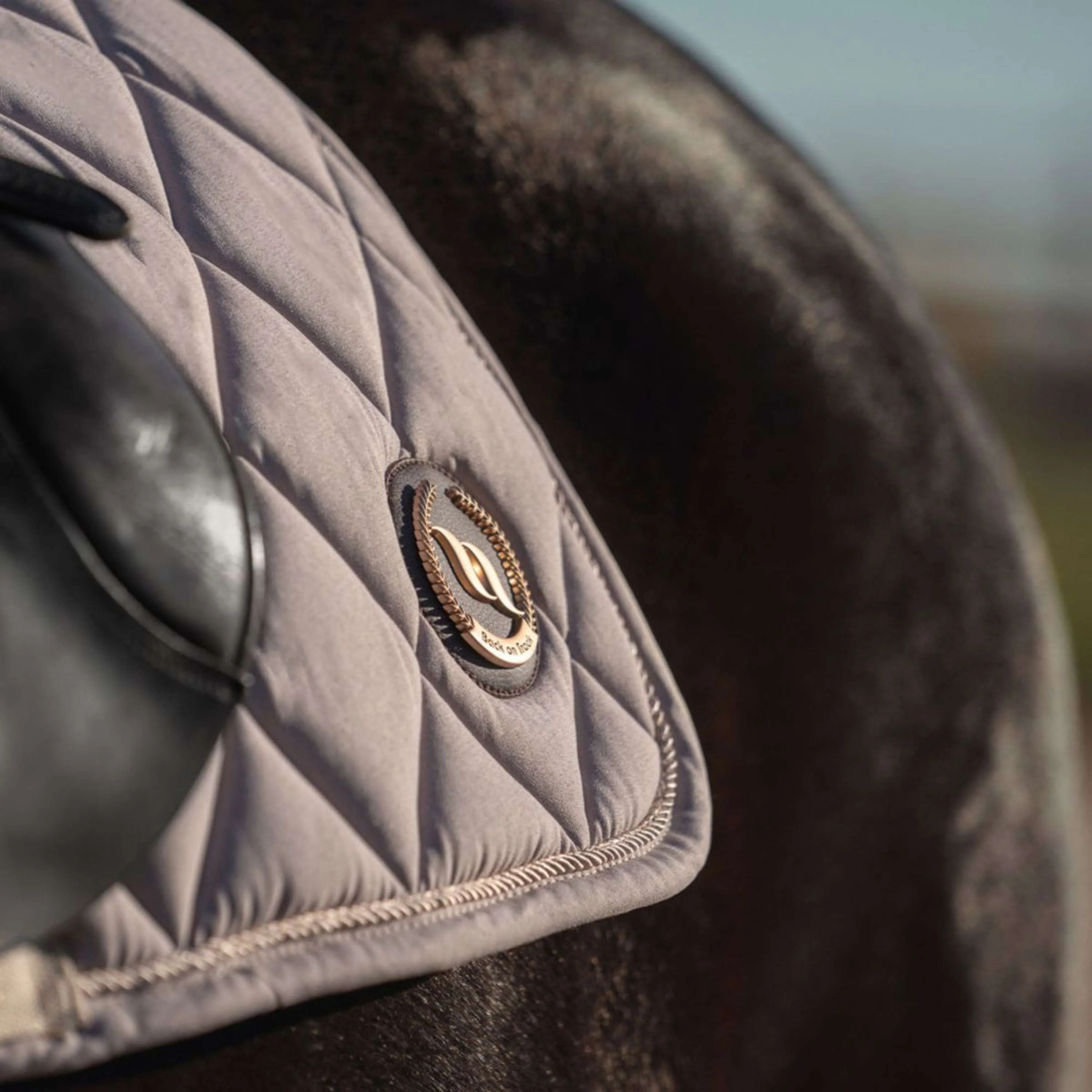 Back on Track Tapis de Selle Haze Dressage Beige clair - Image 4