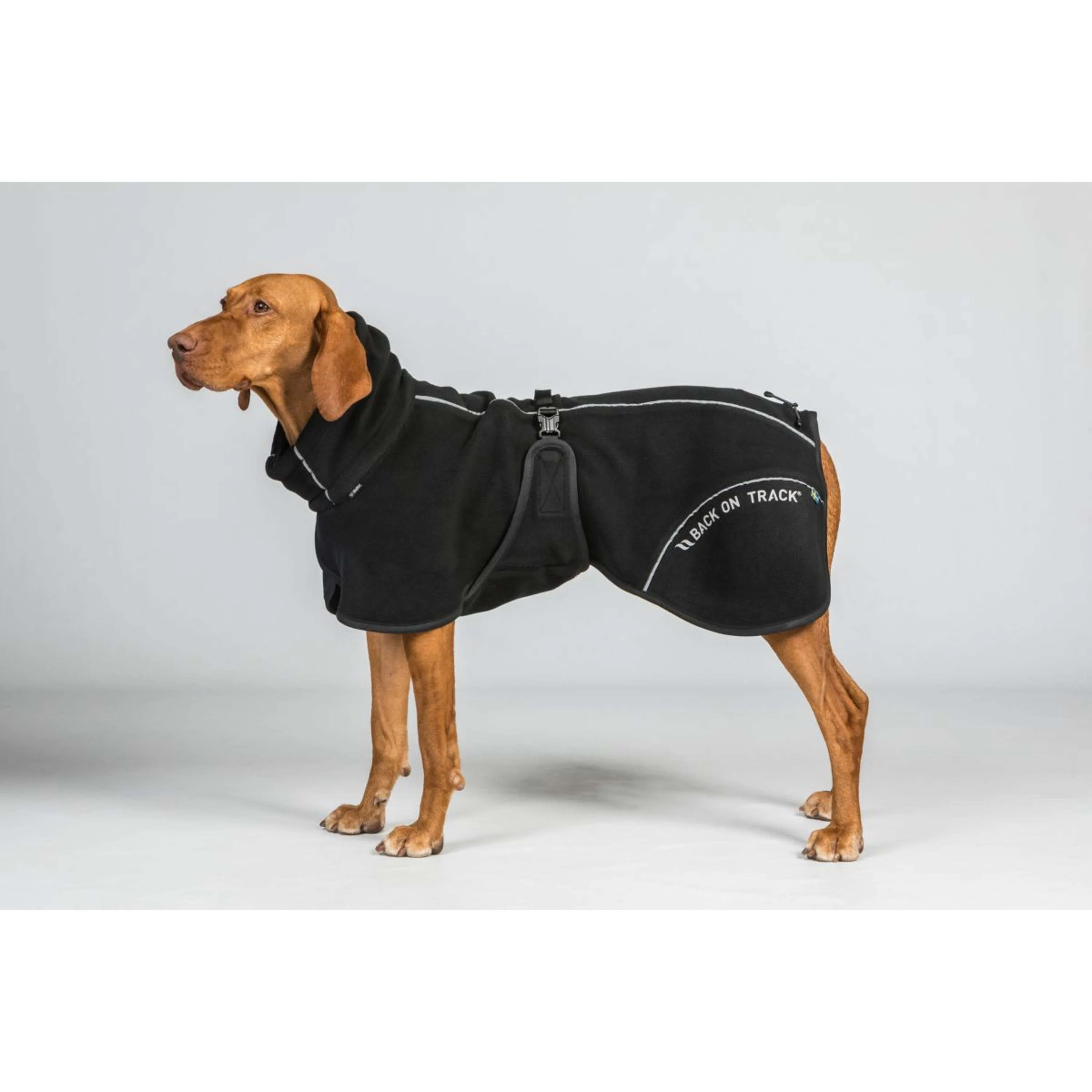 Back on Track Veste pour Chien BAY Fleece Noir - Image 3