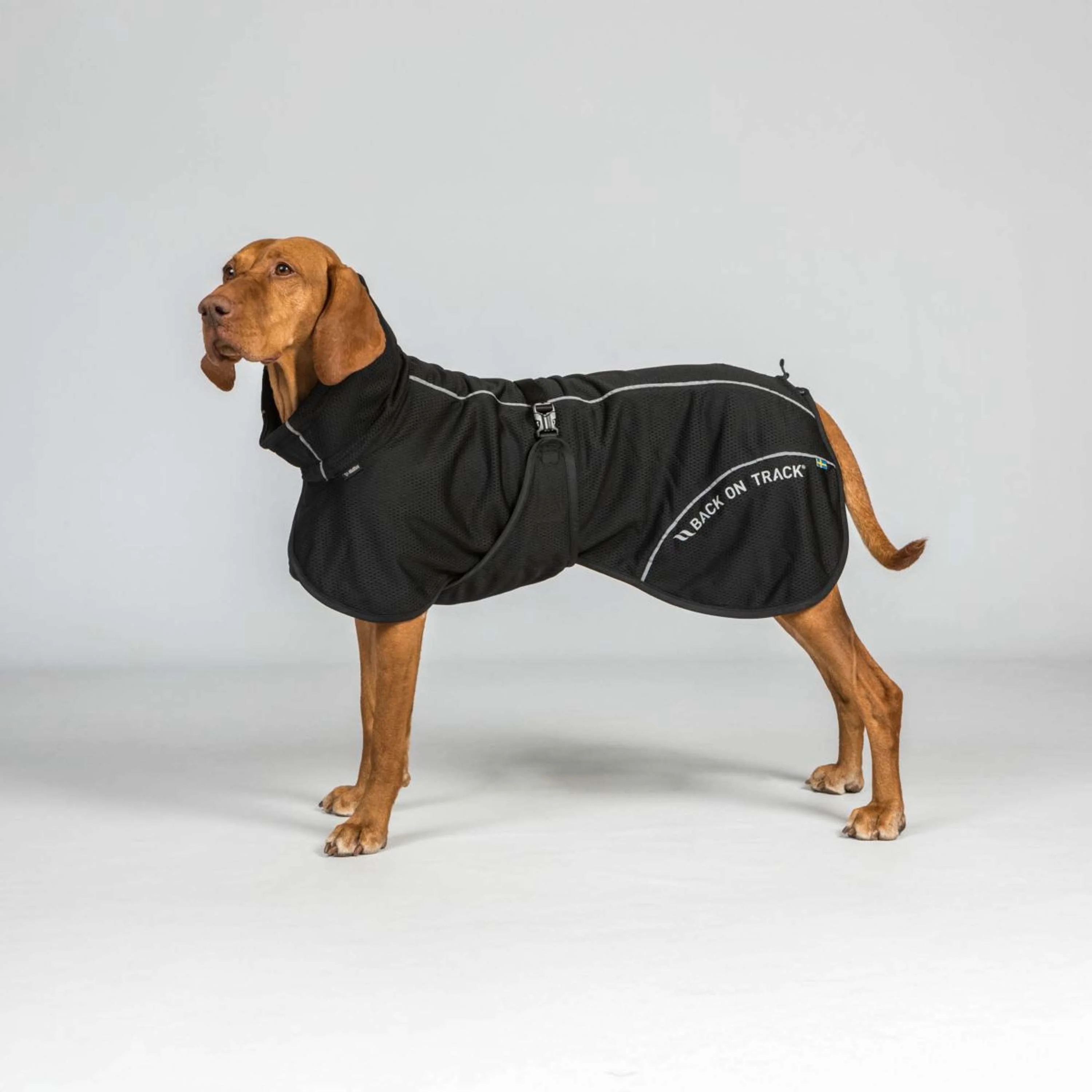 Back on Track Veste pour Chien BAY Mesh Noir - Image 2