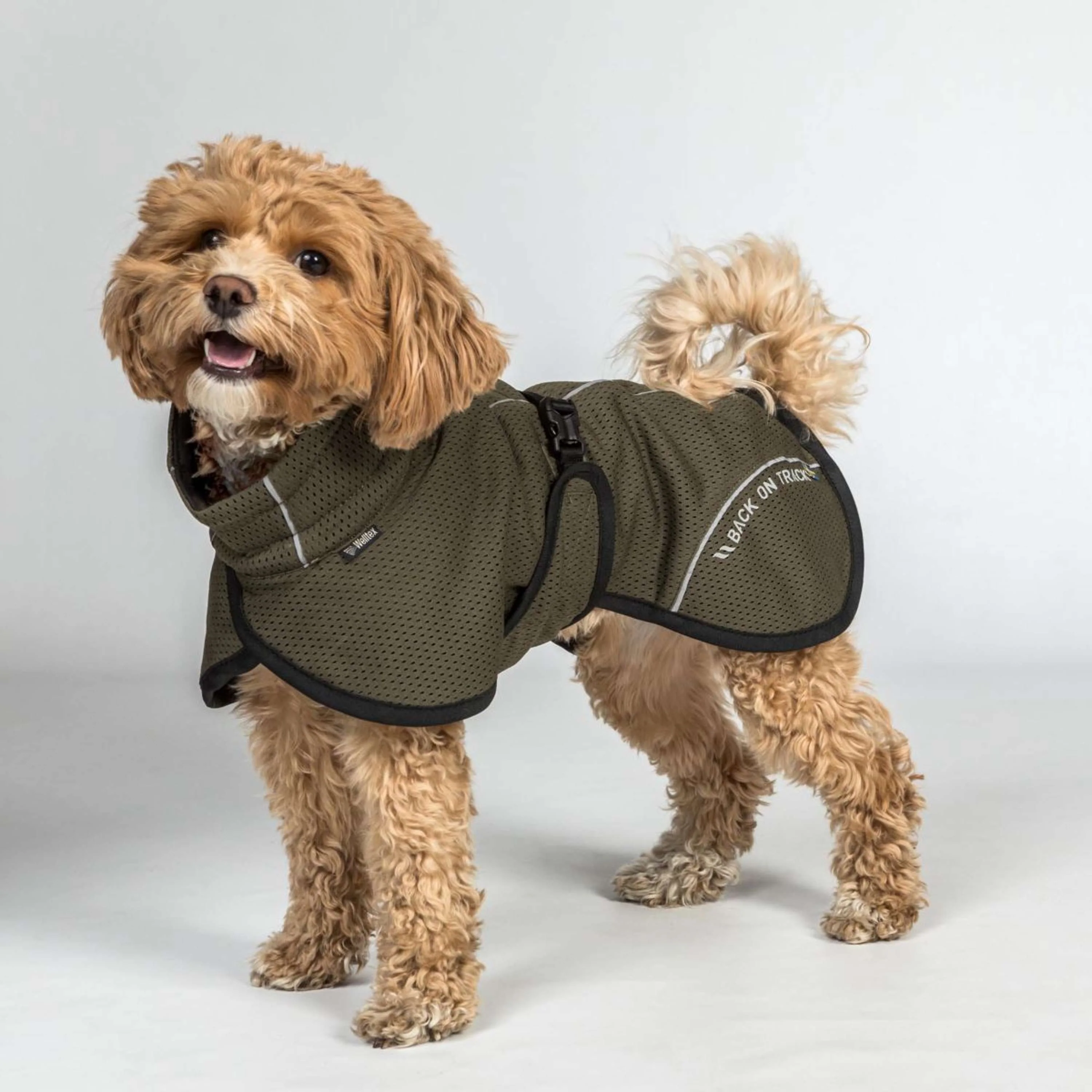 Back on Track Veste pour Chien BAY Mesh Olive - Image 2