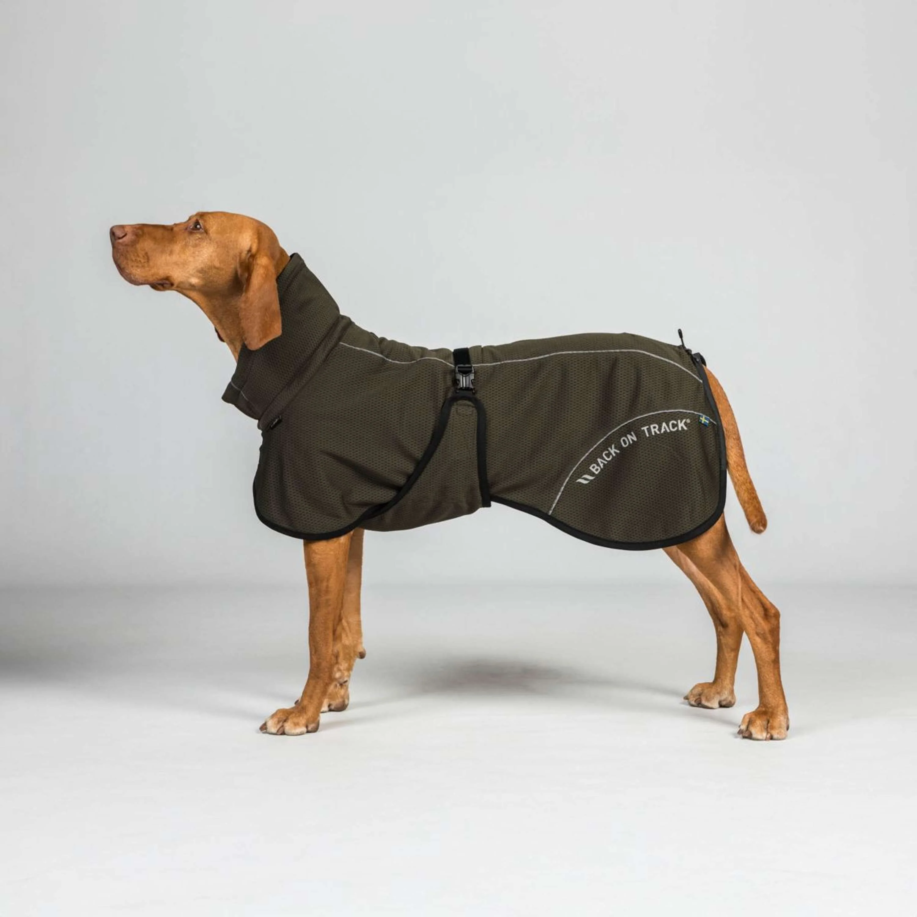 Back on Track Veste pour Chien BAY Mesh Olive - Image 5