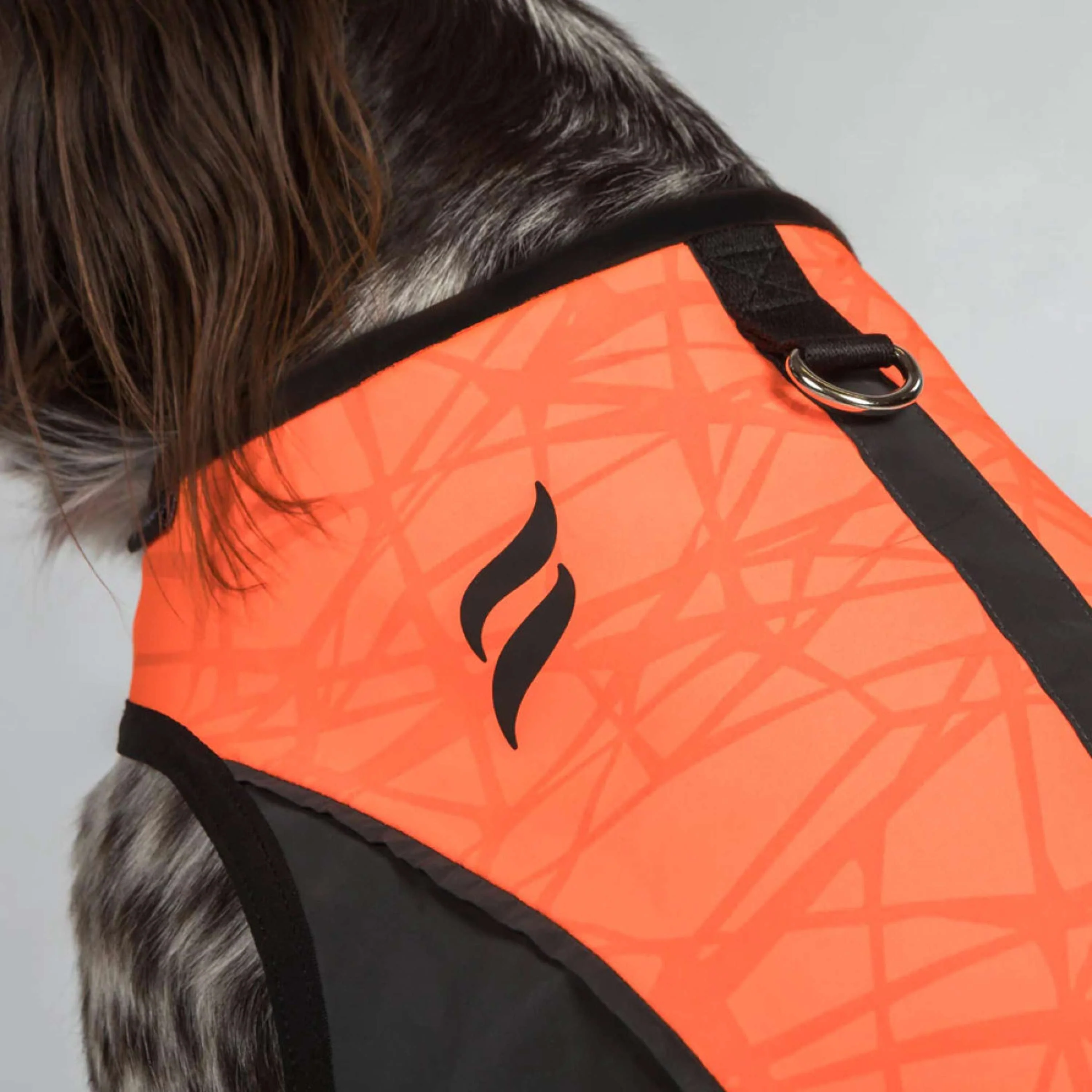 Back on Track Veste pour Chien TRAKK Réfléchissant Orange - Image 3
