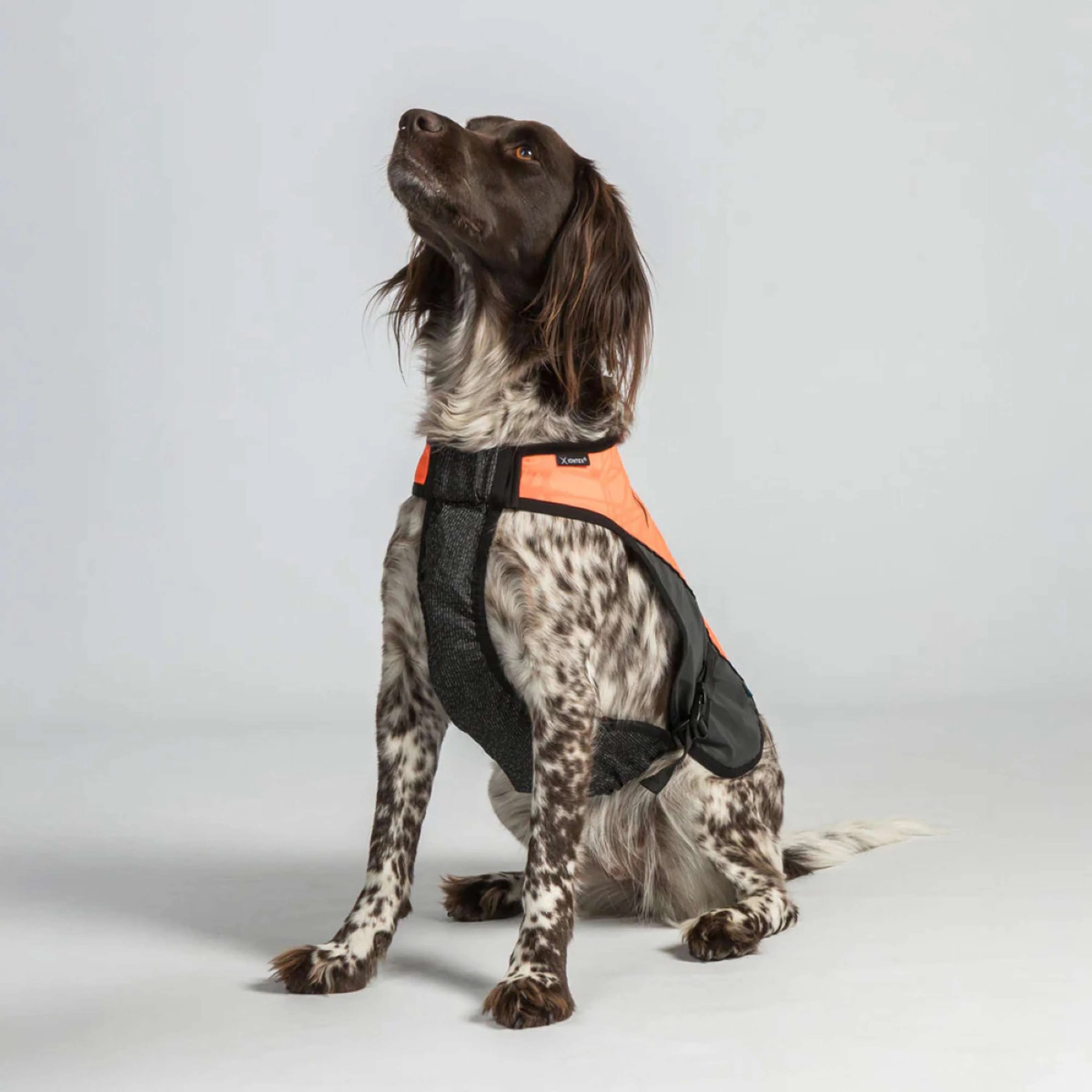 Back on Track Veste pour Chien TRAKK Réfléchissant Orange - Image 4