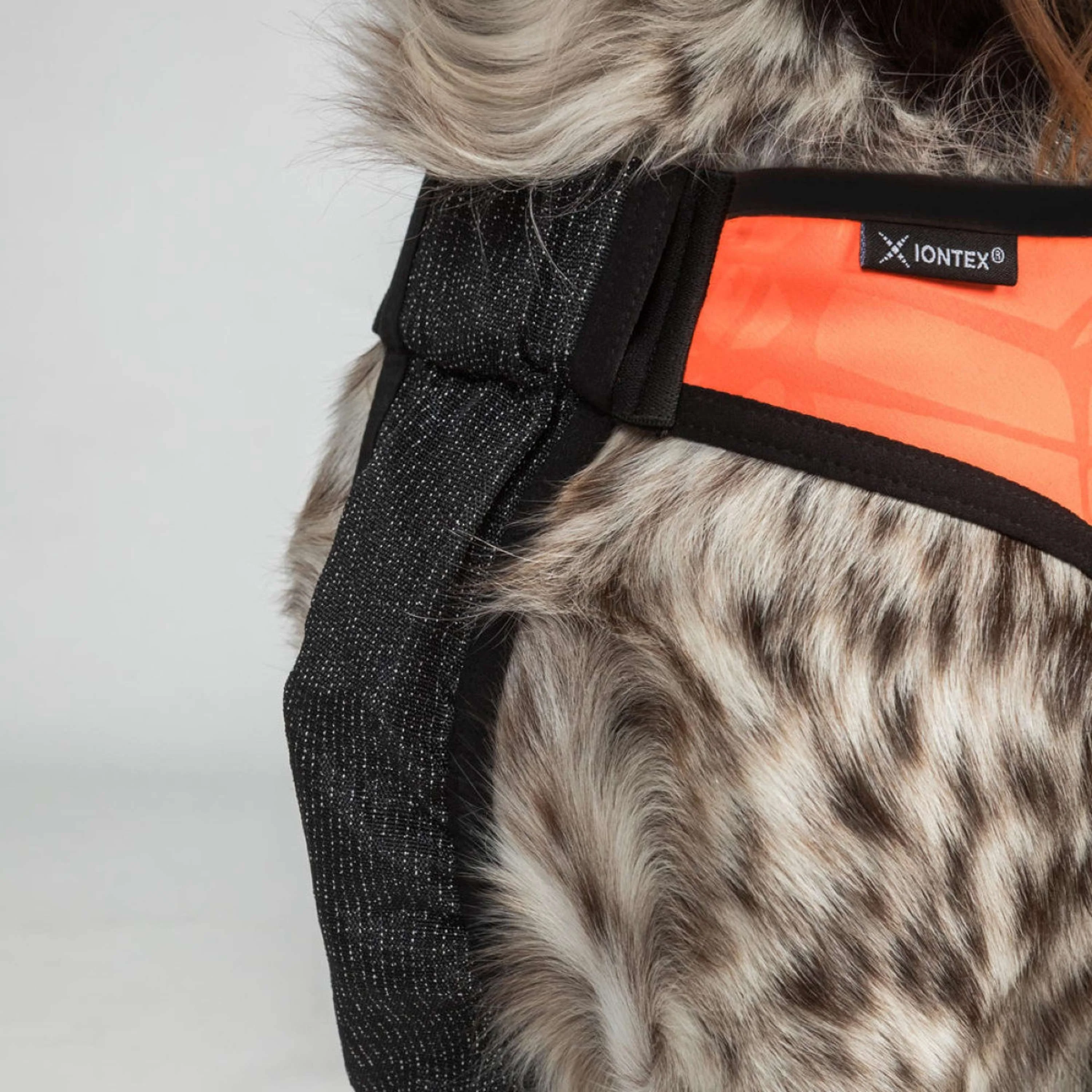 Back on Track Veste pour Chien TRAKK Réfléchissant Orange - Image 5