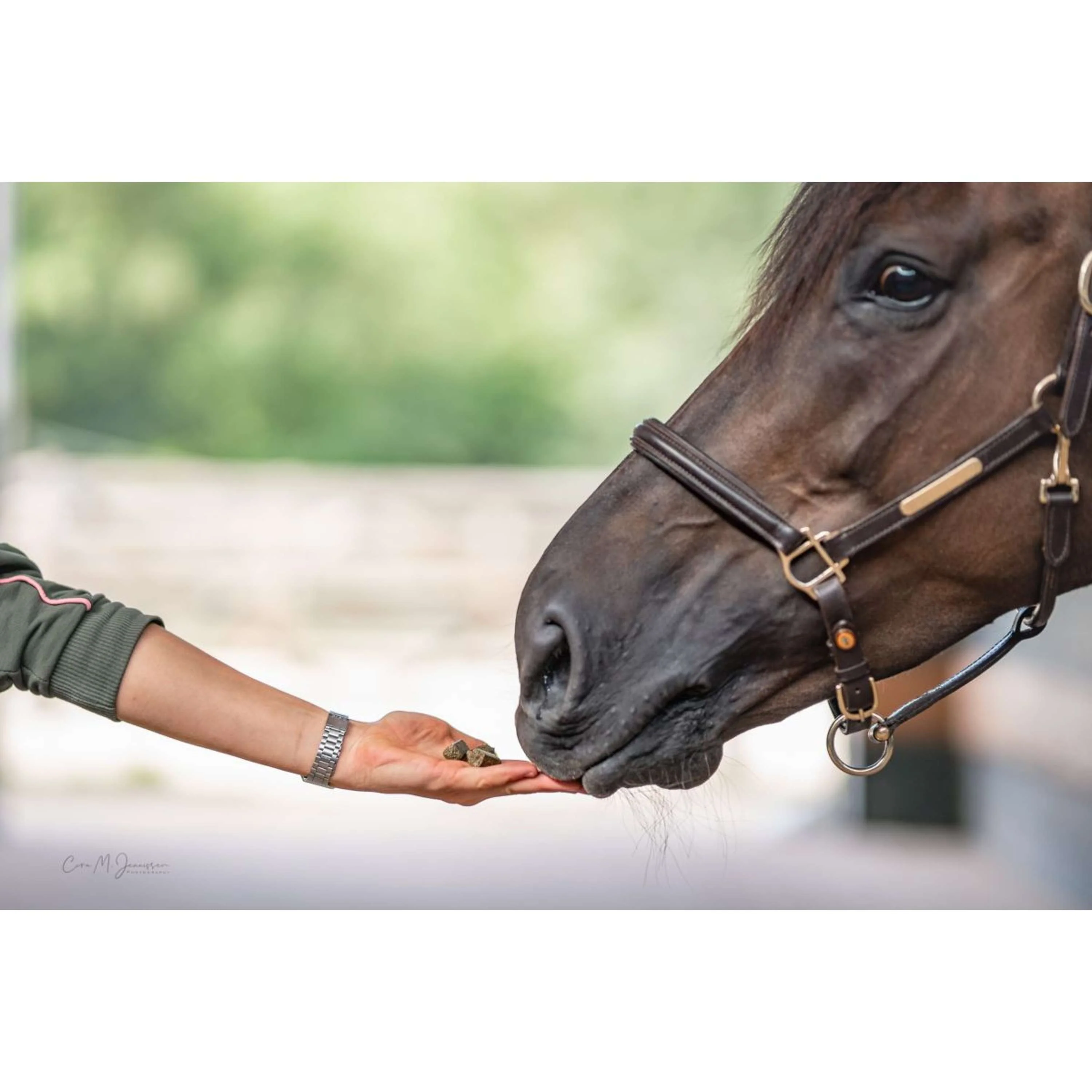 Bense & Eicke Friandises pour Cheval Wiesen Happies Baie Sauvage Herbes - Image 3