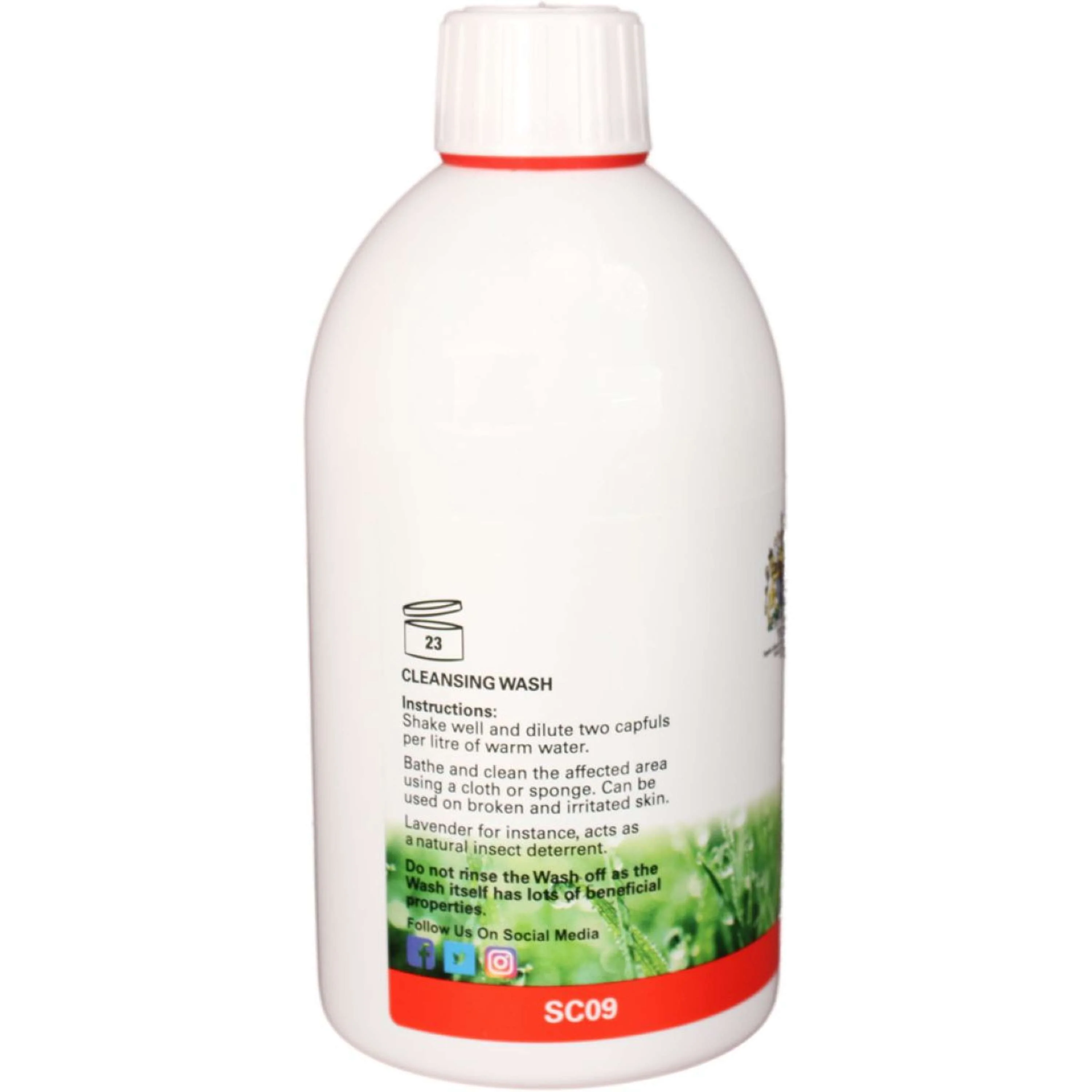 Botanica Cleansing Wash - Image 2