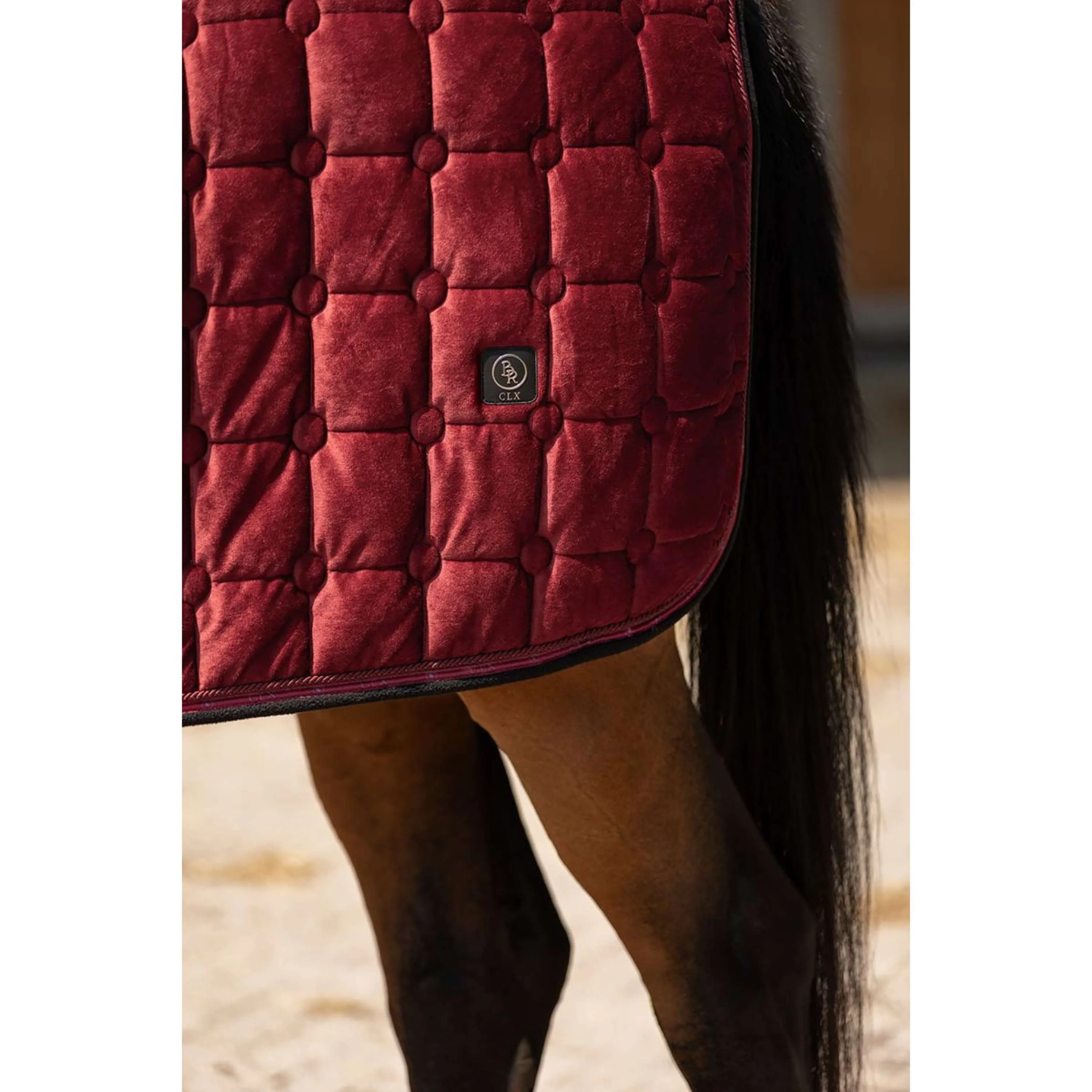 BR Couverture de Concours CLX Cabernet - Image 10