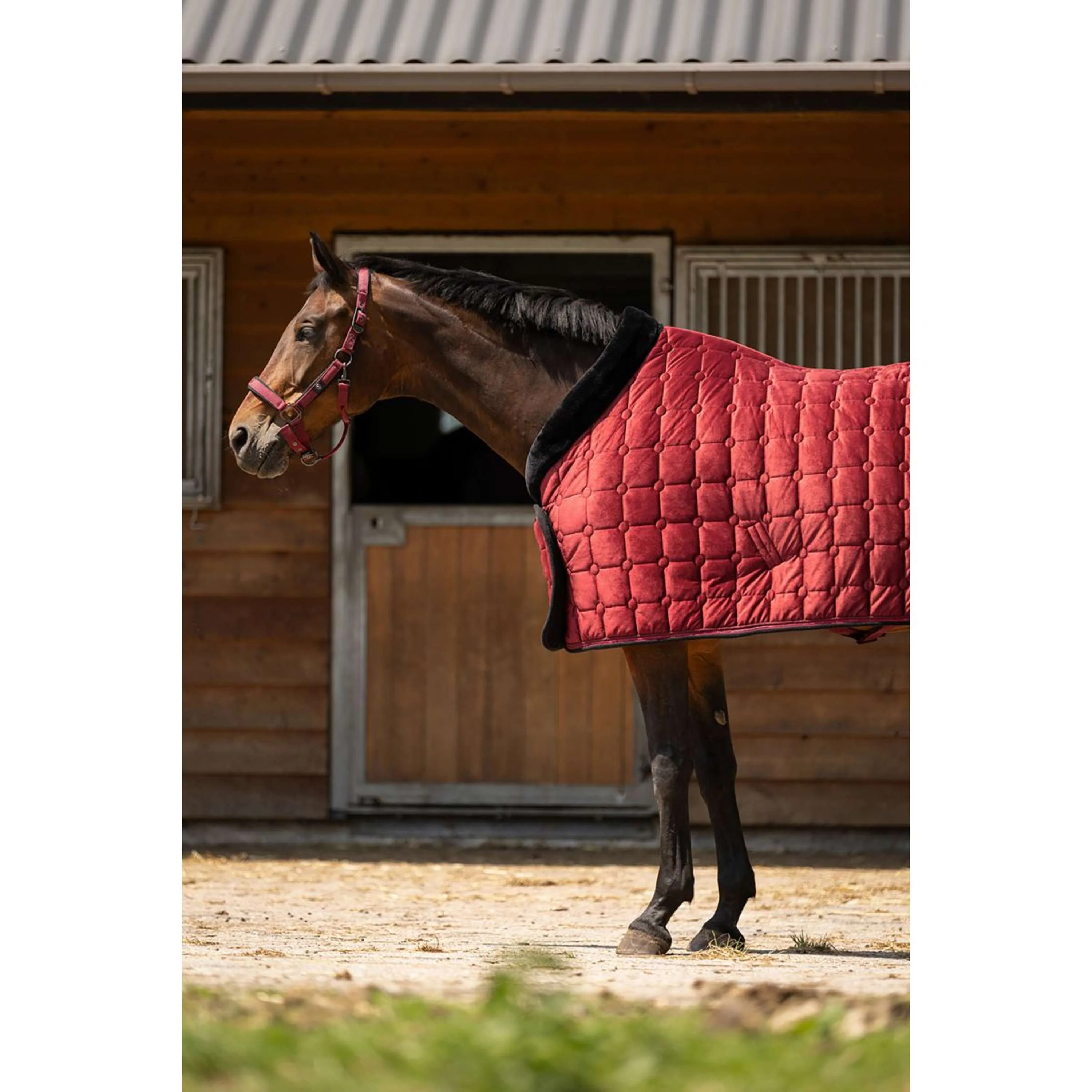 BR Couverture de Concours CLX Cabernet - Image 7