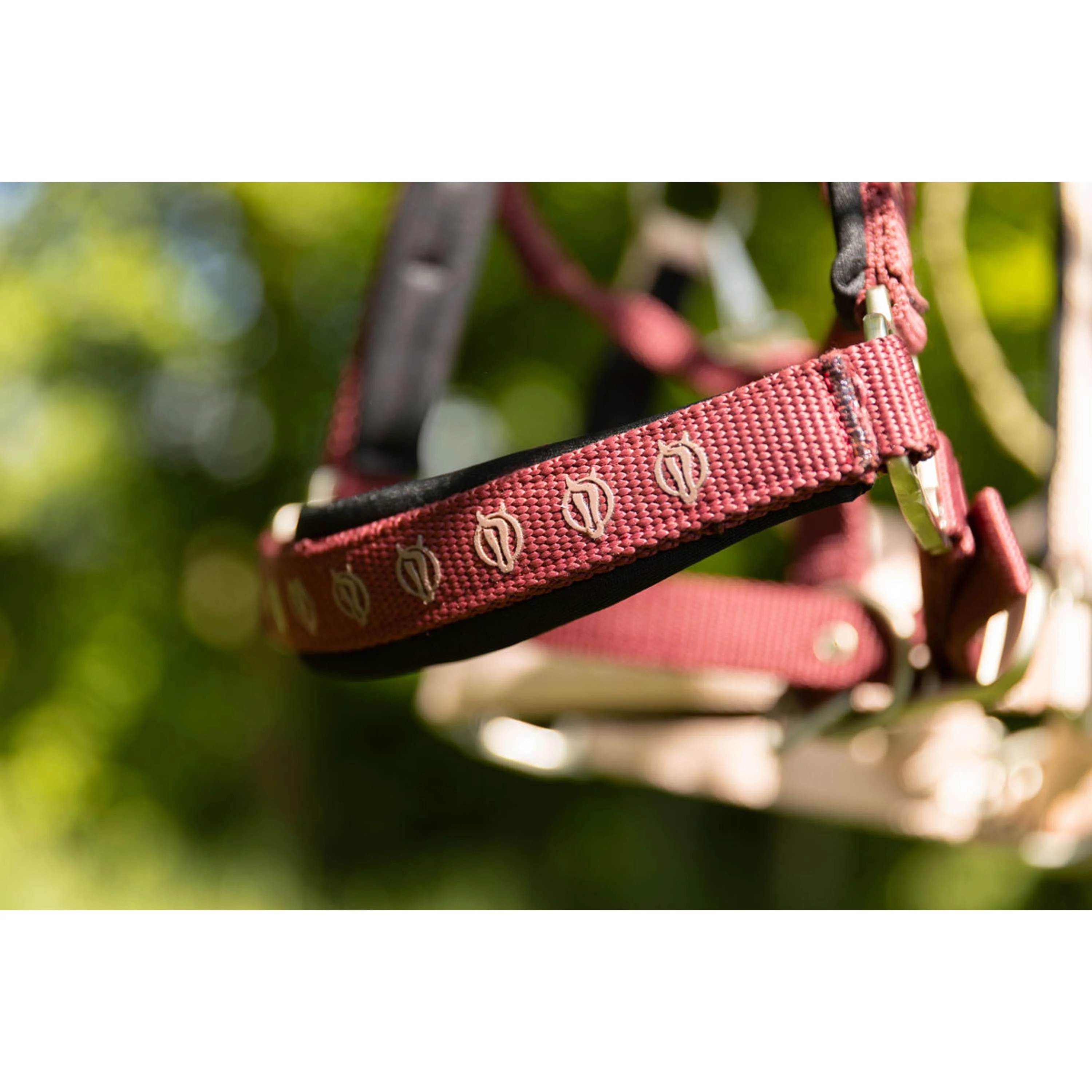 BR Licol Eevolv Karin New Maroon - Image 2