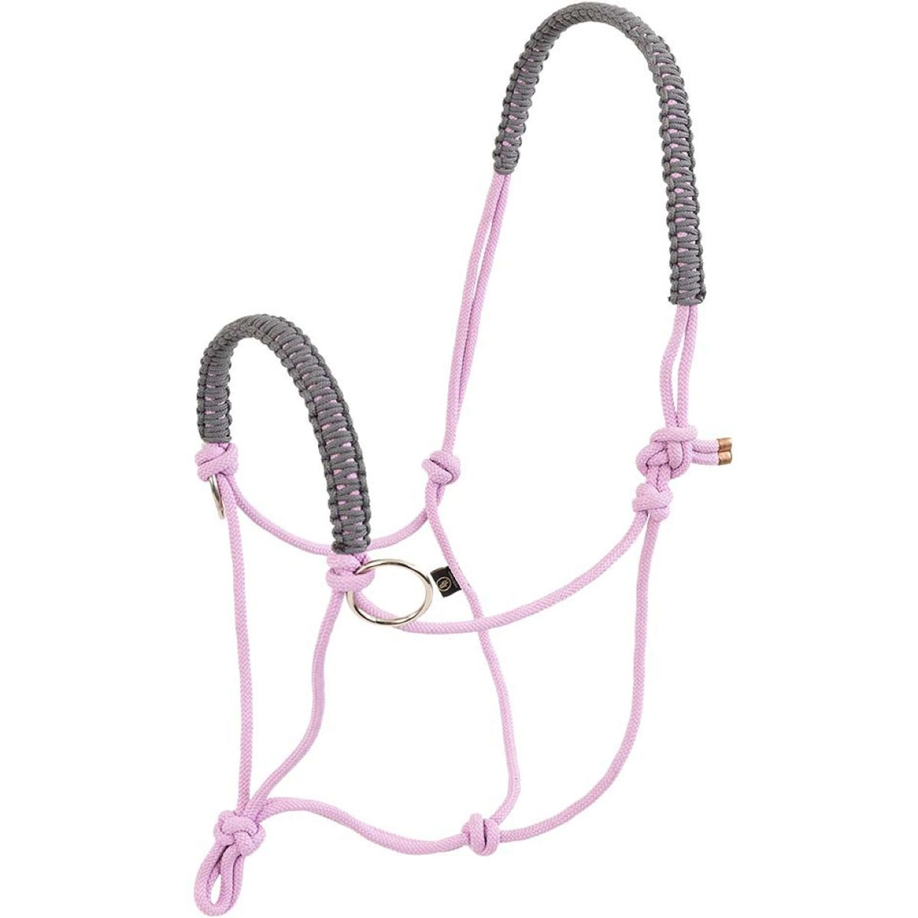 BR Licol en Corde Jeu Moonlite Mauve - Image 2