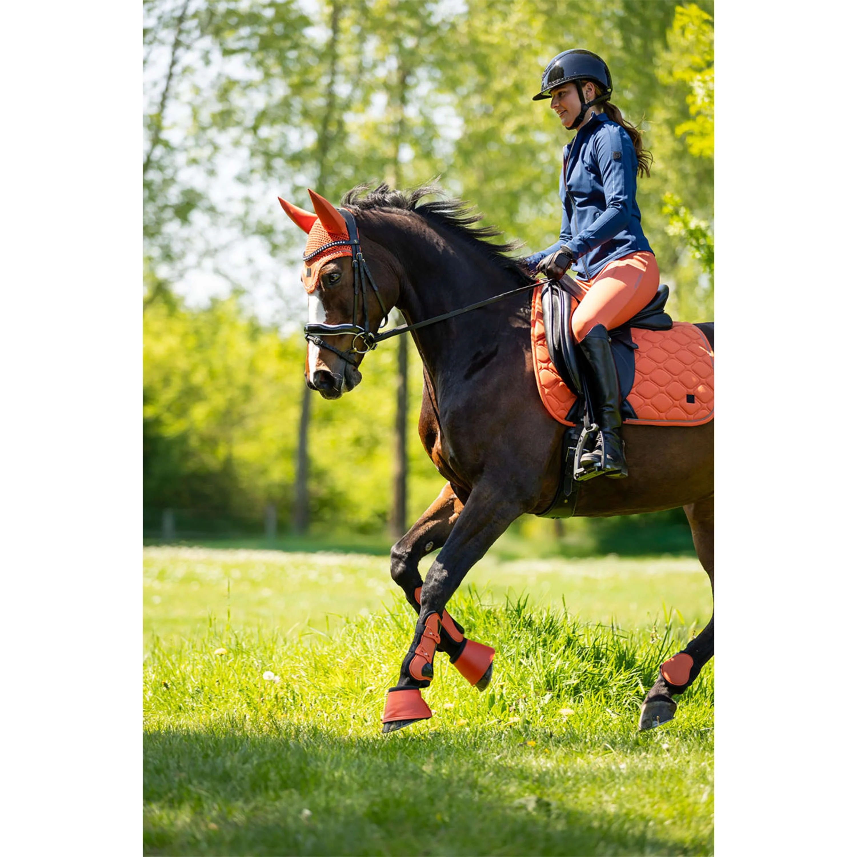 BR Legging d'Équitation Kimore Full Grip Mecca Orange - Image 7