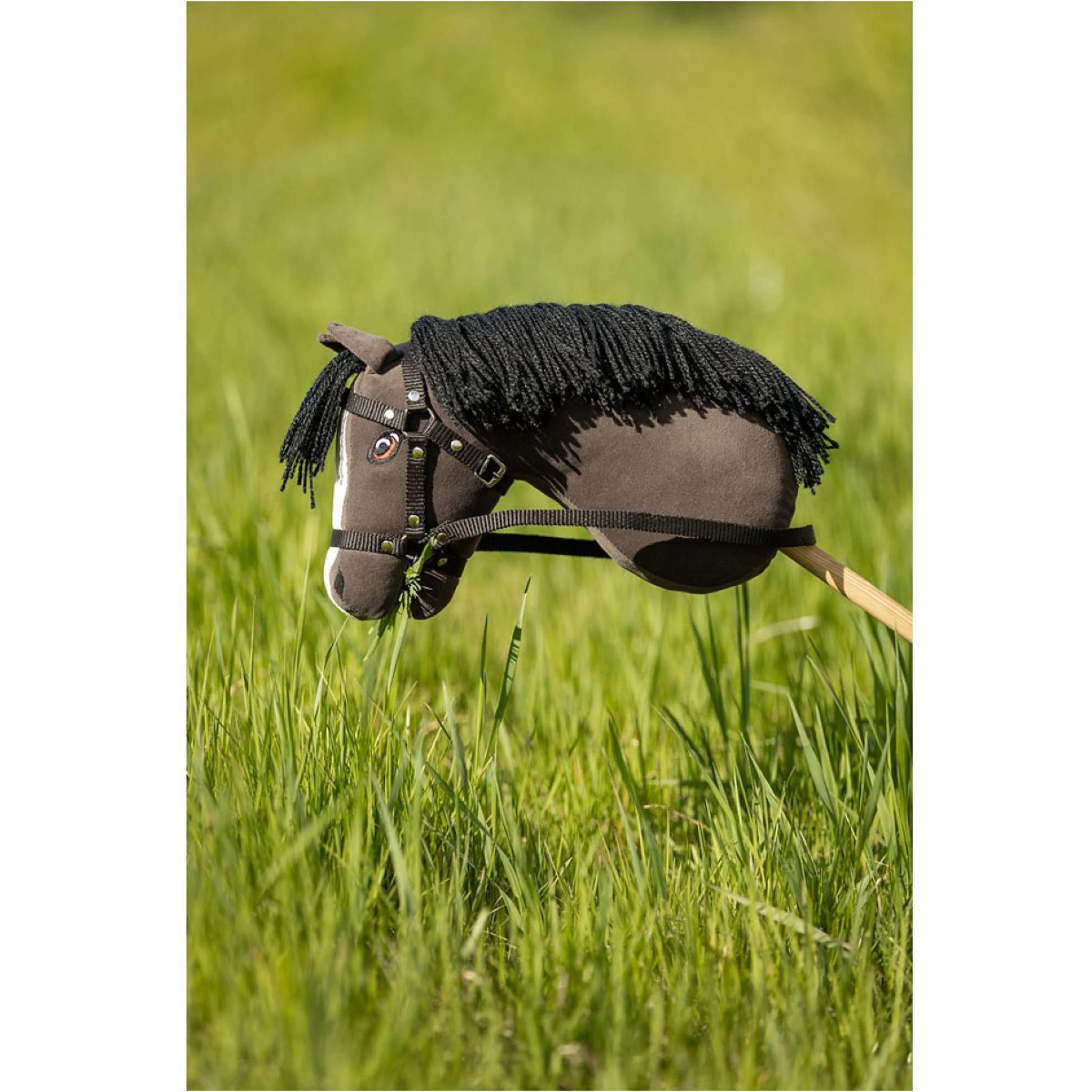 BR Mini Horse Hobby Horse à Roulettes Noir - Image 3