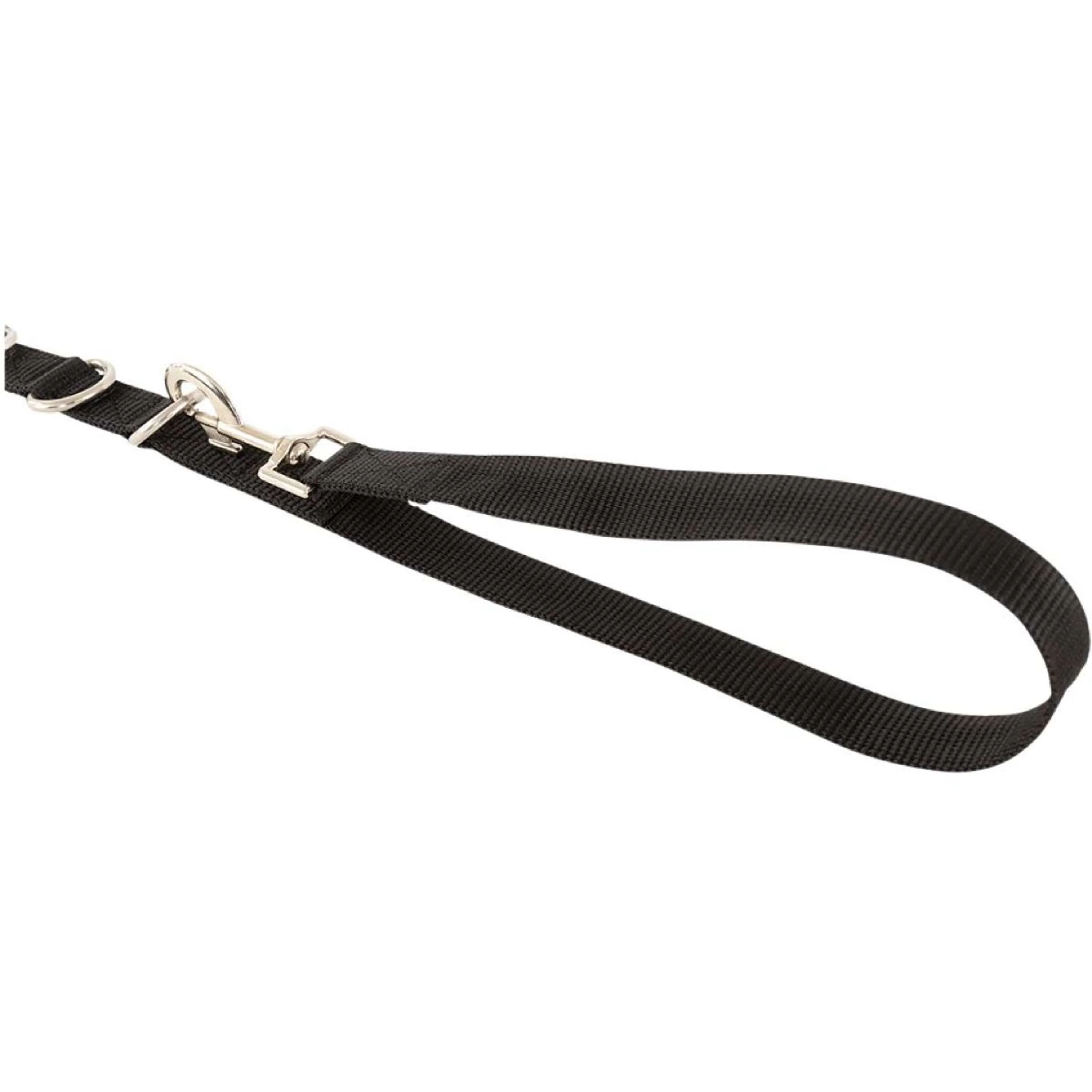 BR Rênes Fixes avec Élastique Noir - Image 3