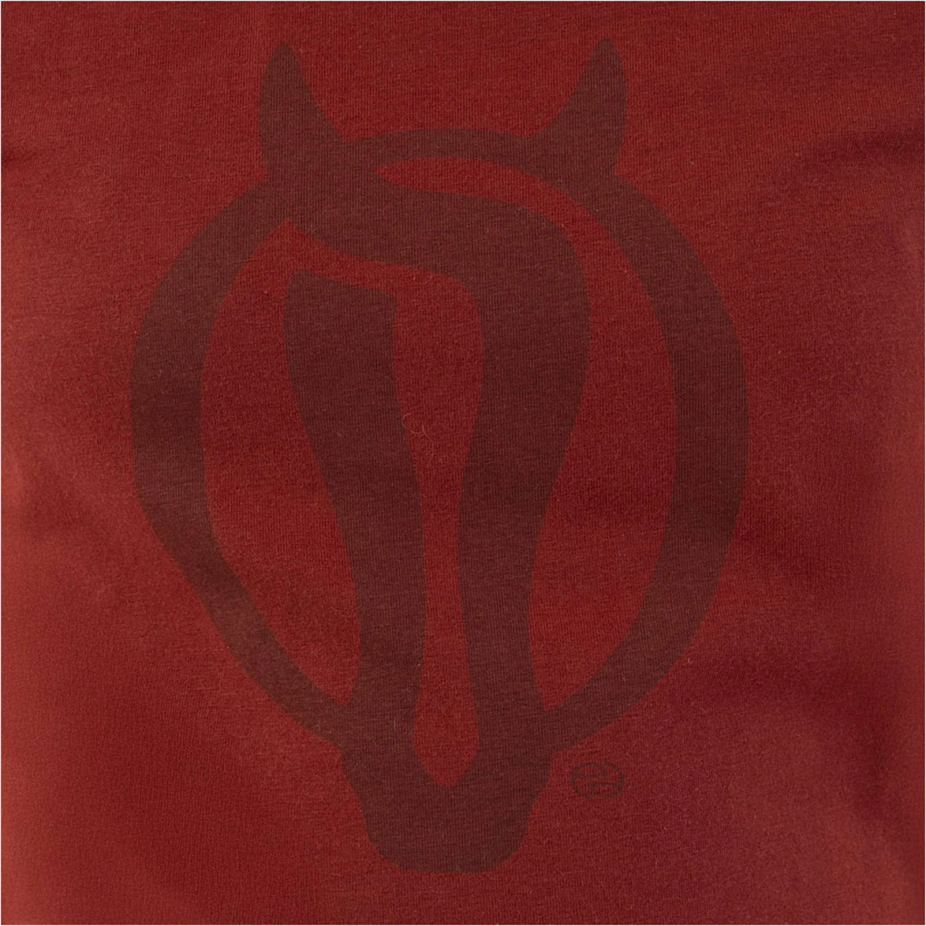 BR T-Shirt Eevolv Krijn Kids New Maroon - Image 4