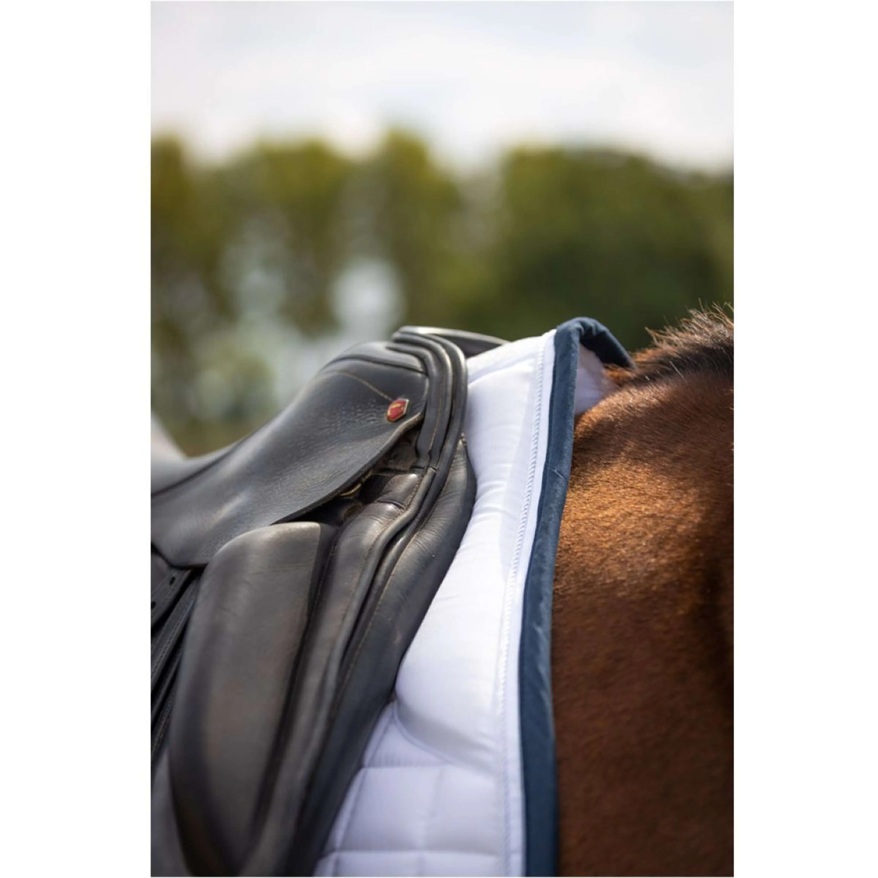 BR Tapis de Selle C-Wear Saltillo Dressage Blanc - Image 5