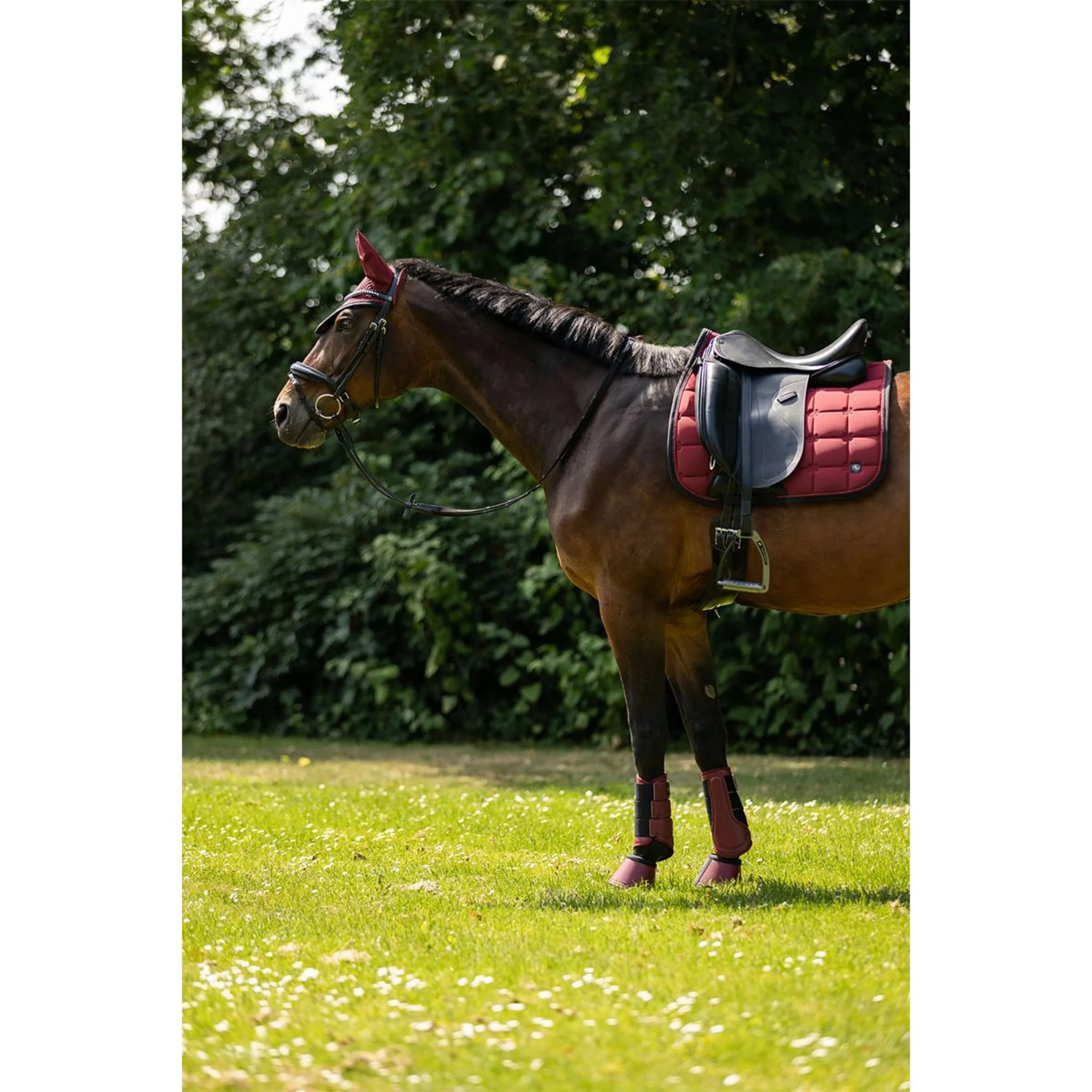 BR Tapis de Selle CLX Dressage Cabernet - Image 5