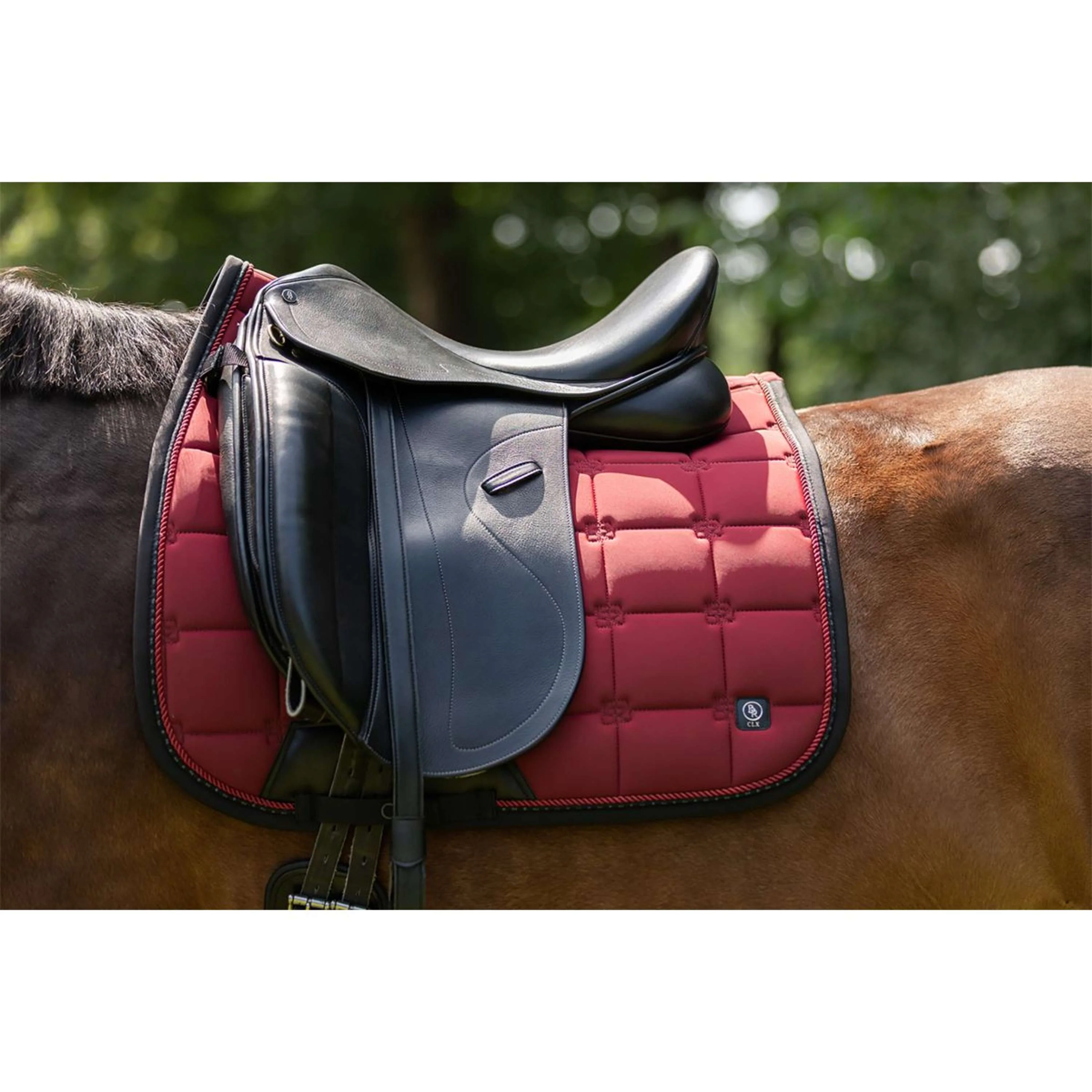 BR Tapis de Selle CLX Dressage Cabernet - Image 7