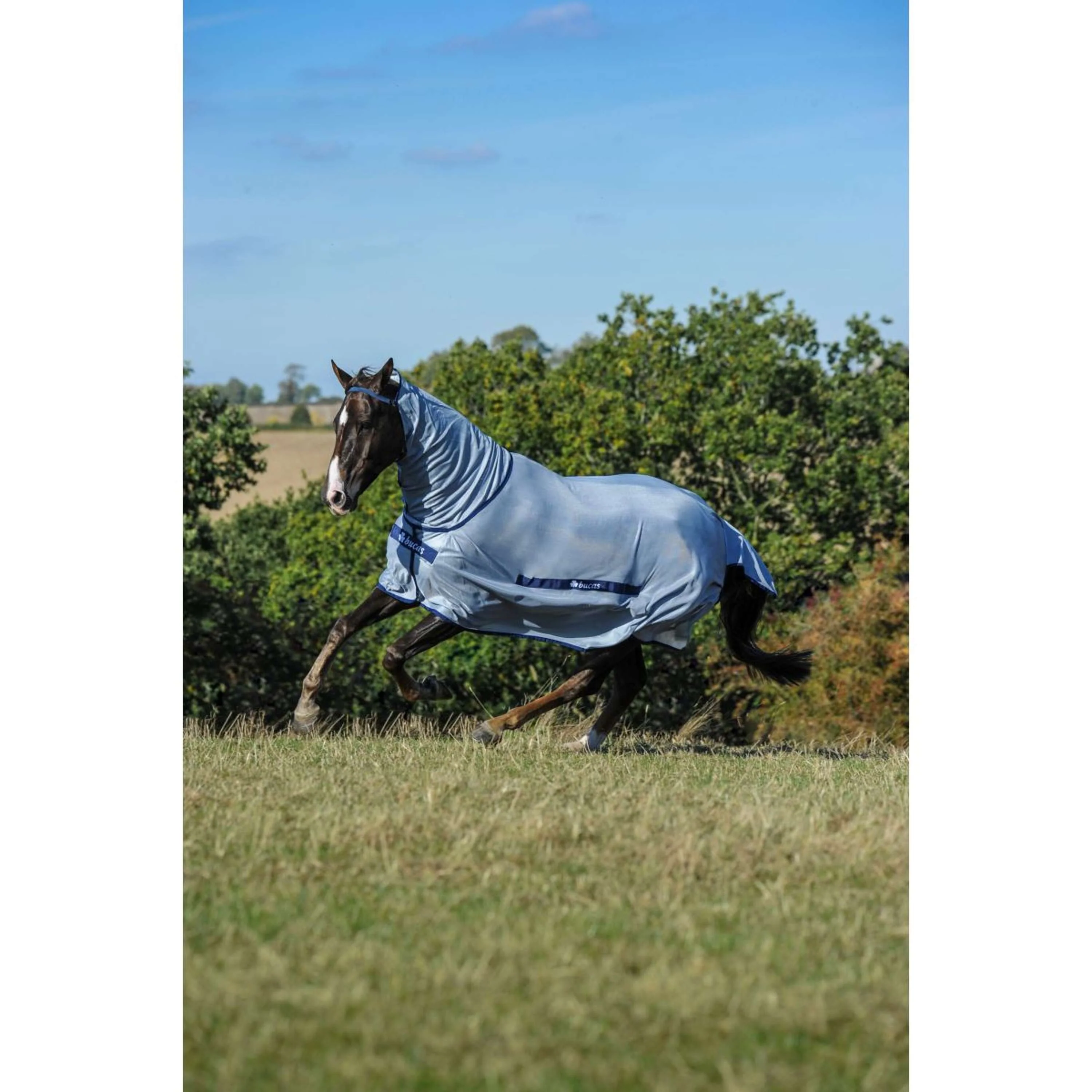 Bucas Buzz-Off Full Neck Bleu - Image 3