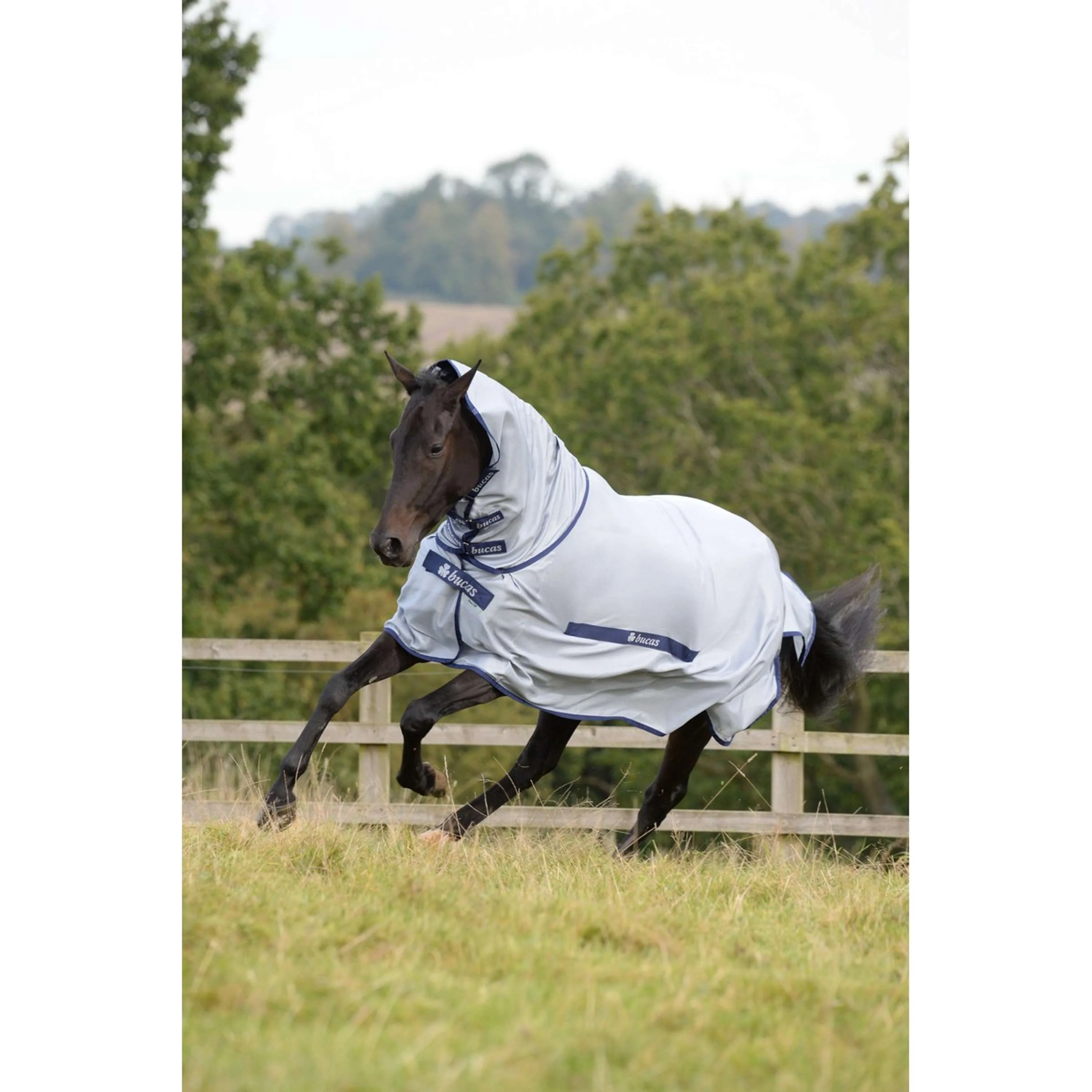 Bucas Buzz-Off & Neck Bleu - Image 4