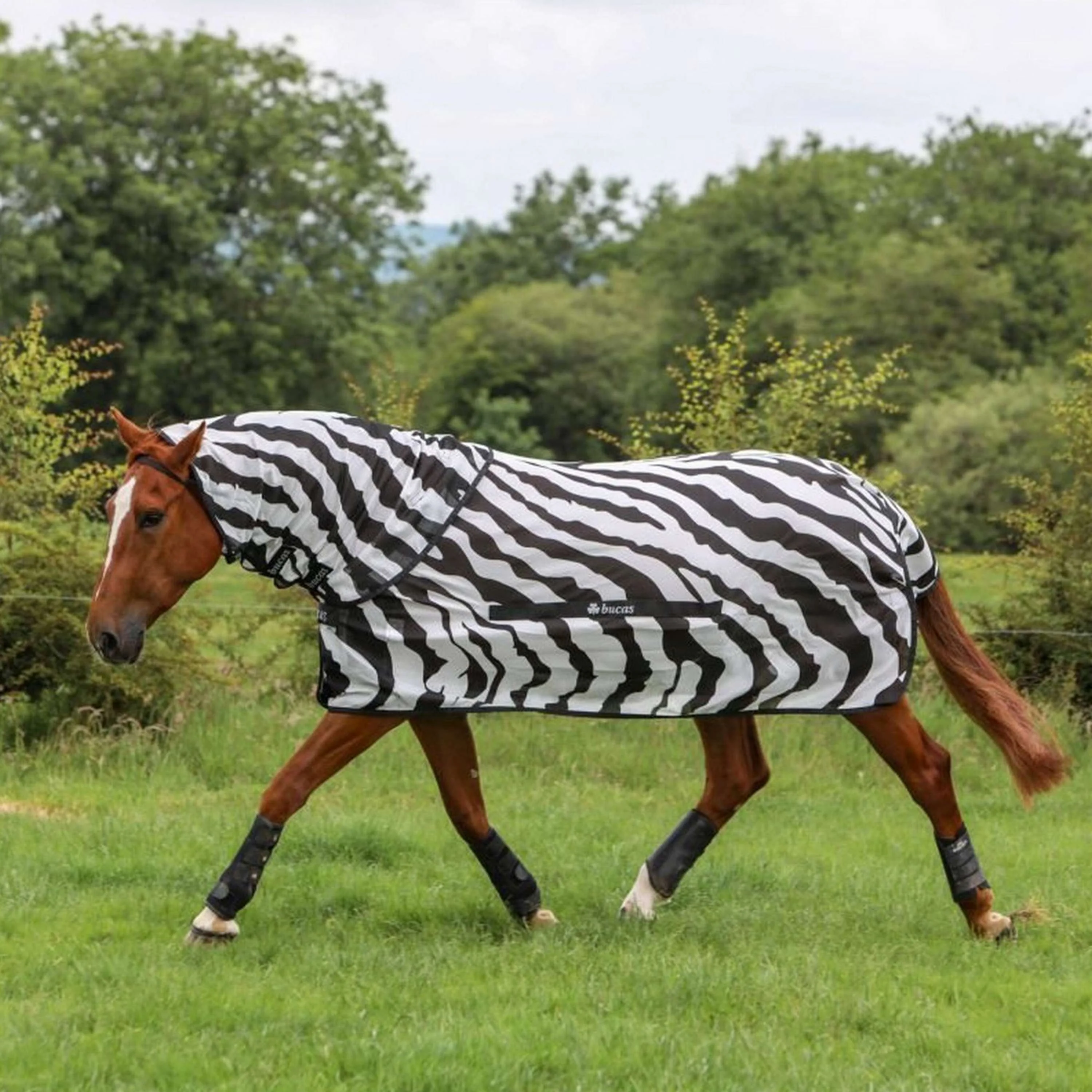 Bucas Buzz-Off & Neck Zebra - Image 2