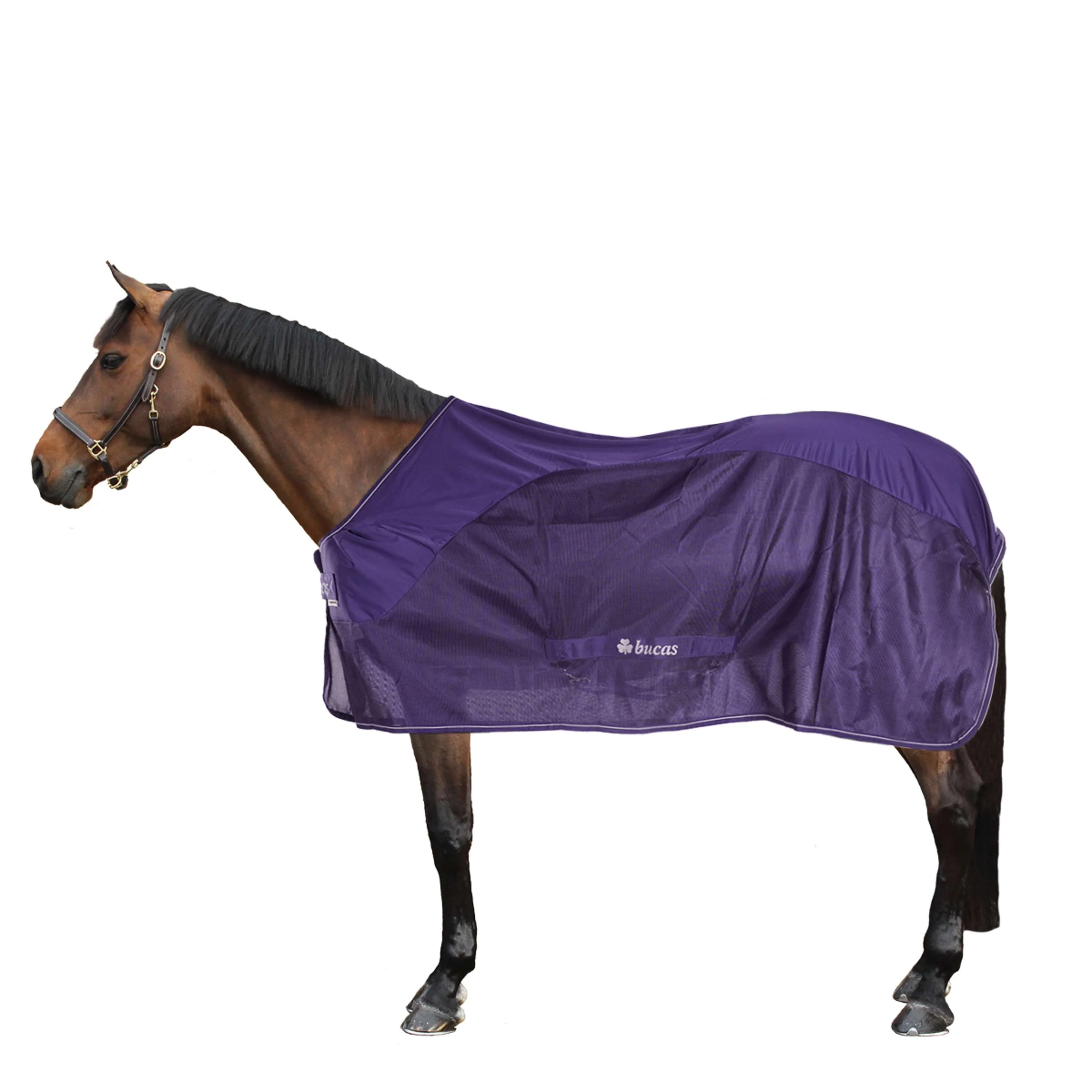 Bucas Competition Cooler Marin - Image 2