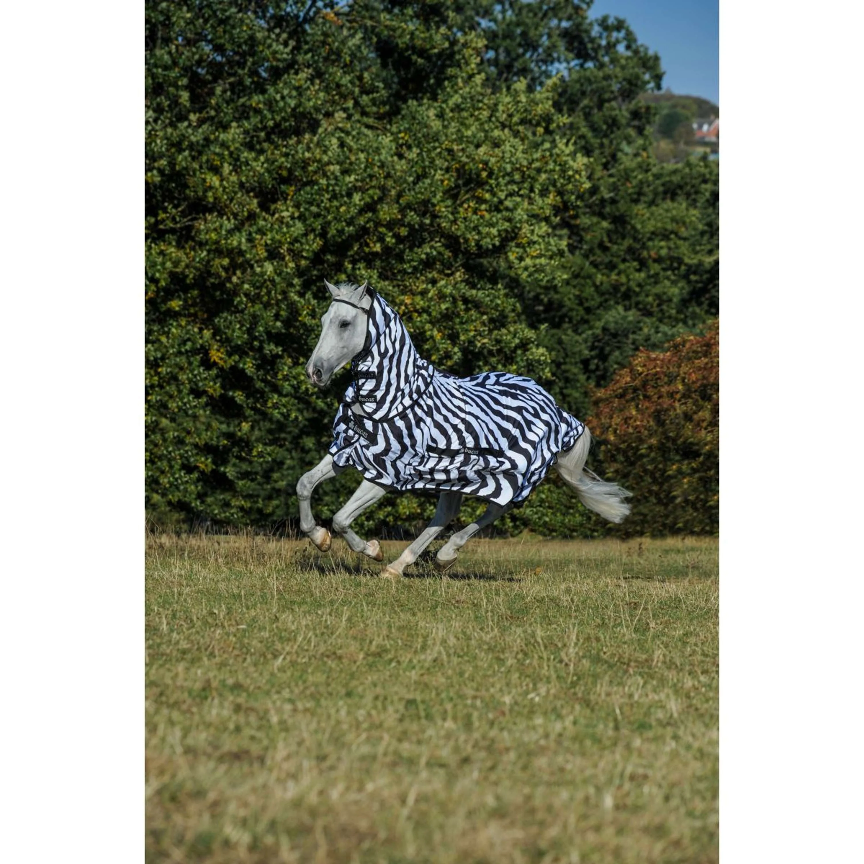 Bucas Couverture Anti-Eczema Zebra - Image 3