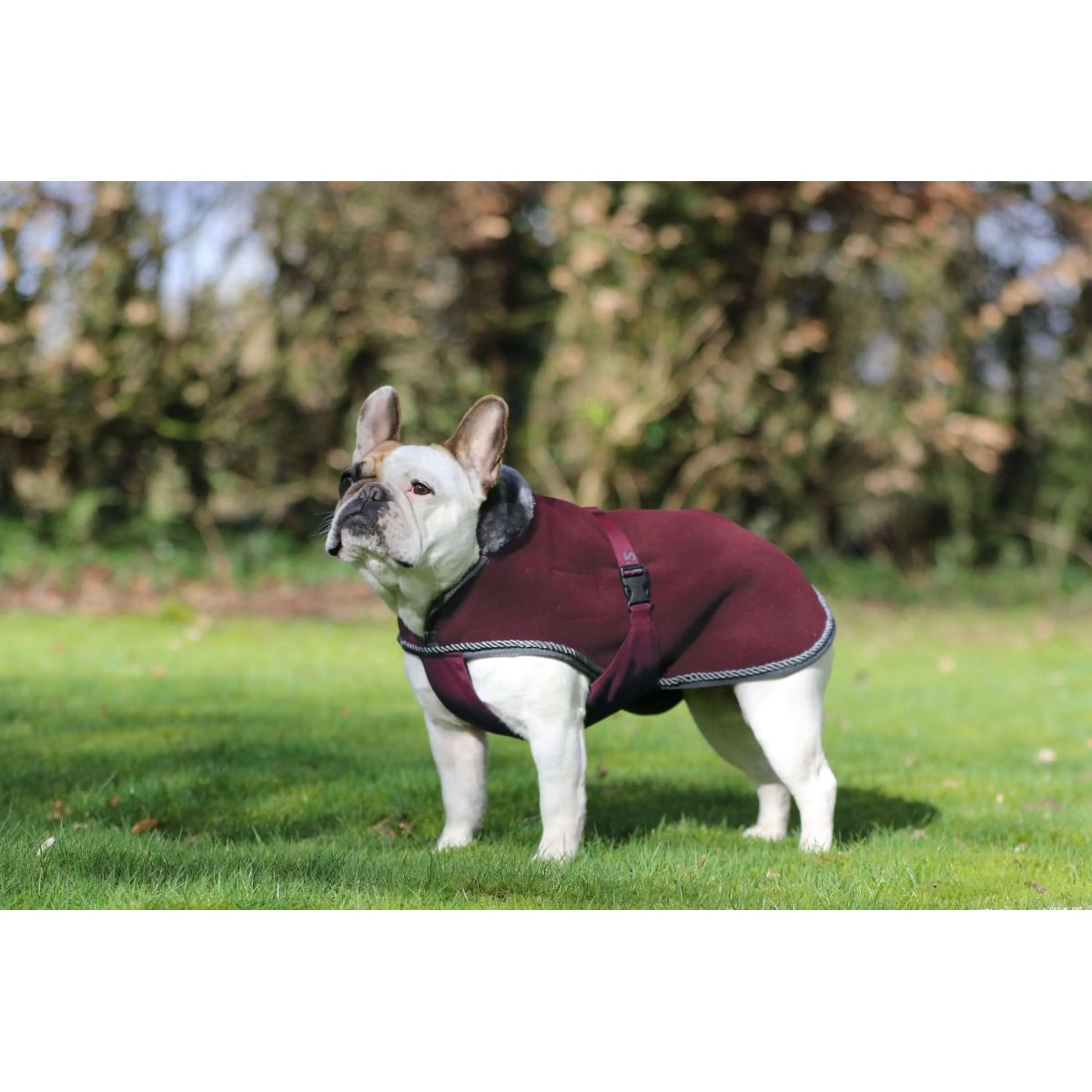 Bucas Couverture pour Chien Show-Line Burgundy/Gris - Image 2