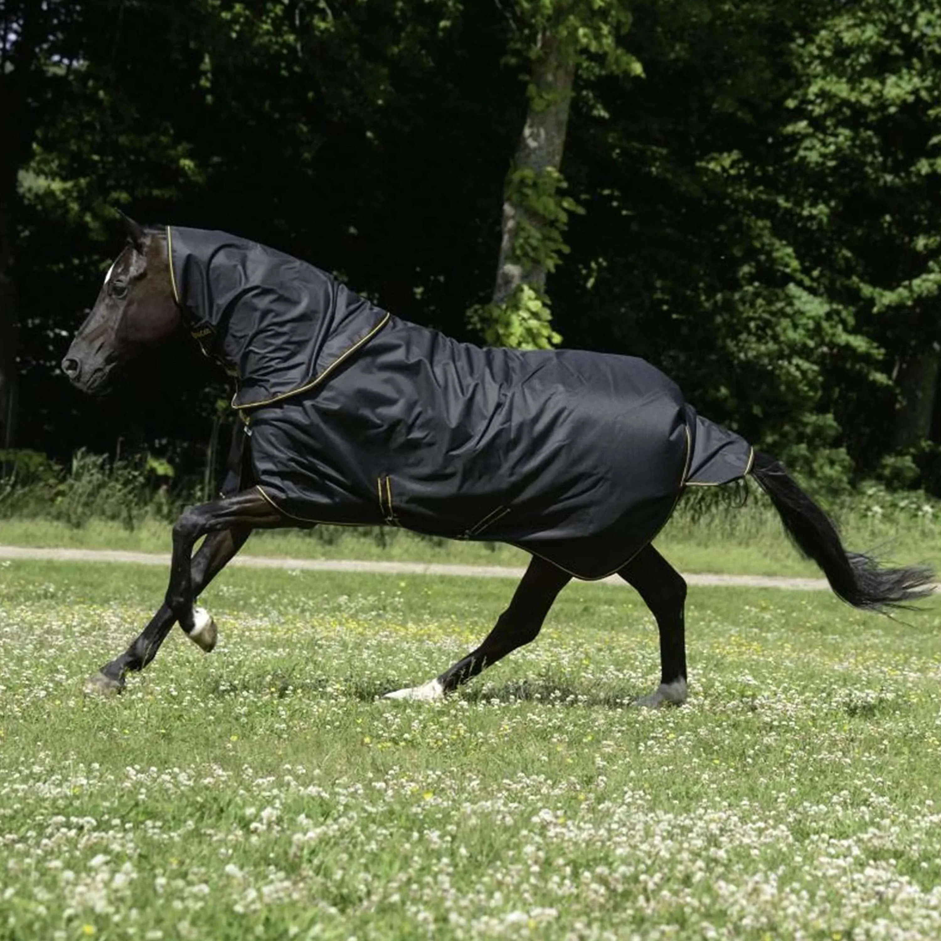 Bucas Couvre-Cou Irish Turnout Combi Neck 300g Noir/Or - Image 2