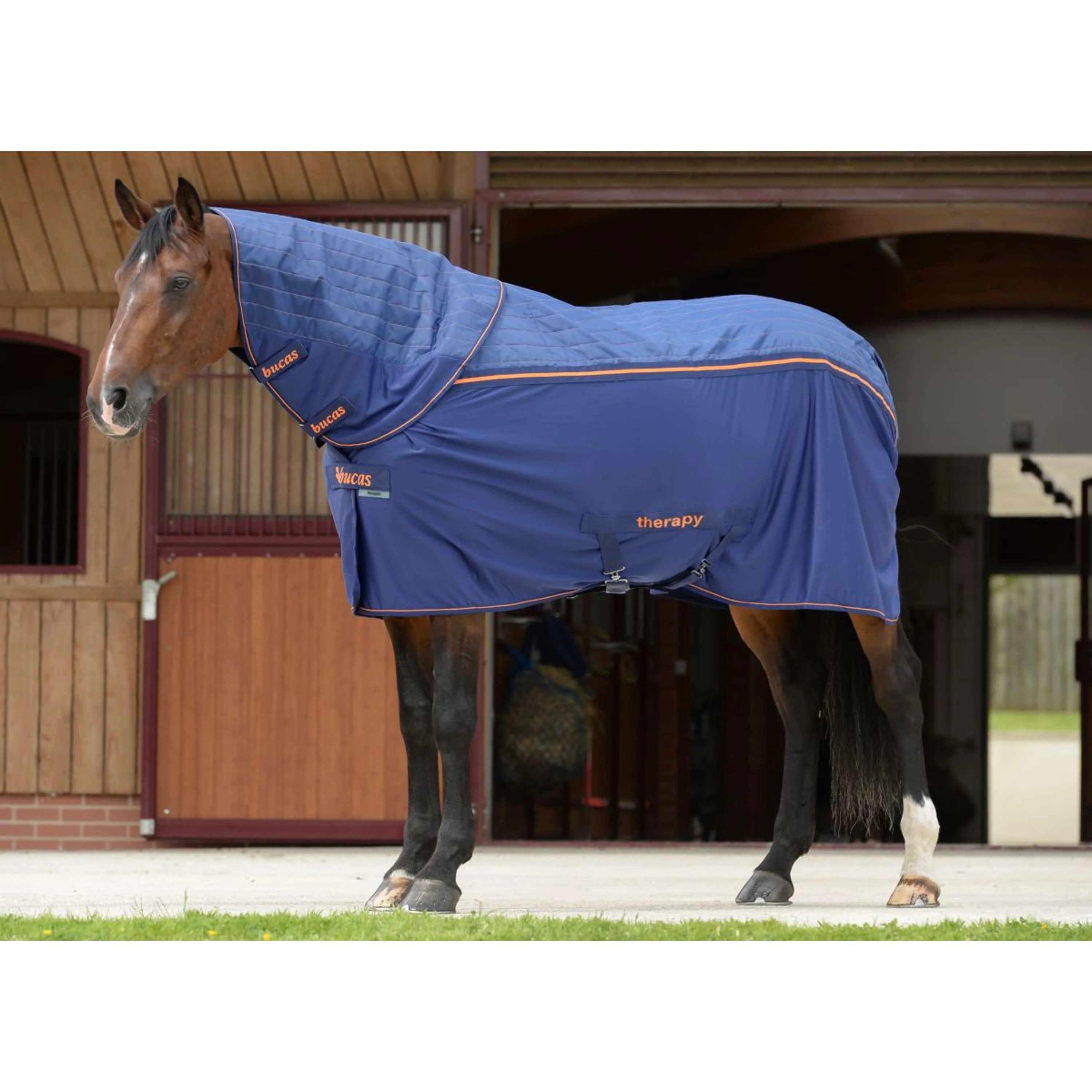 Bucas Therapy Neck Bleu Marine/Orange - Image 2