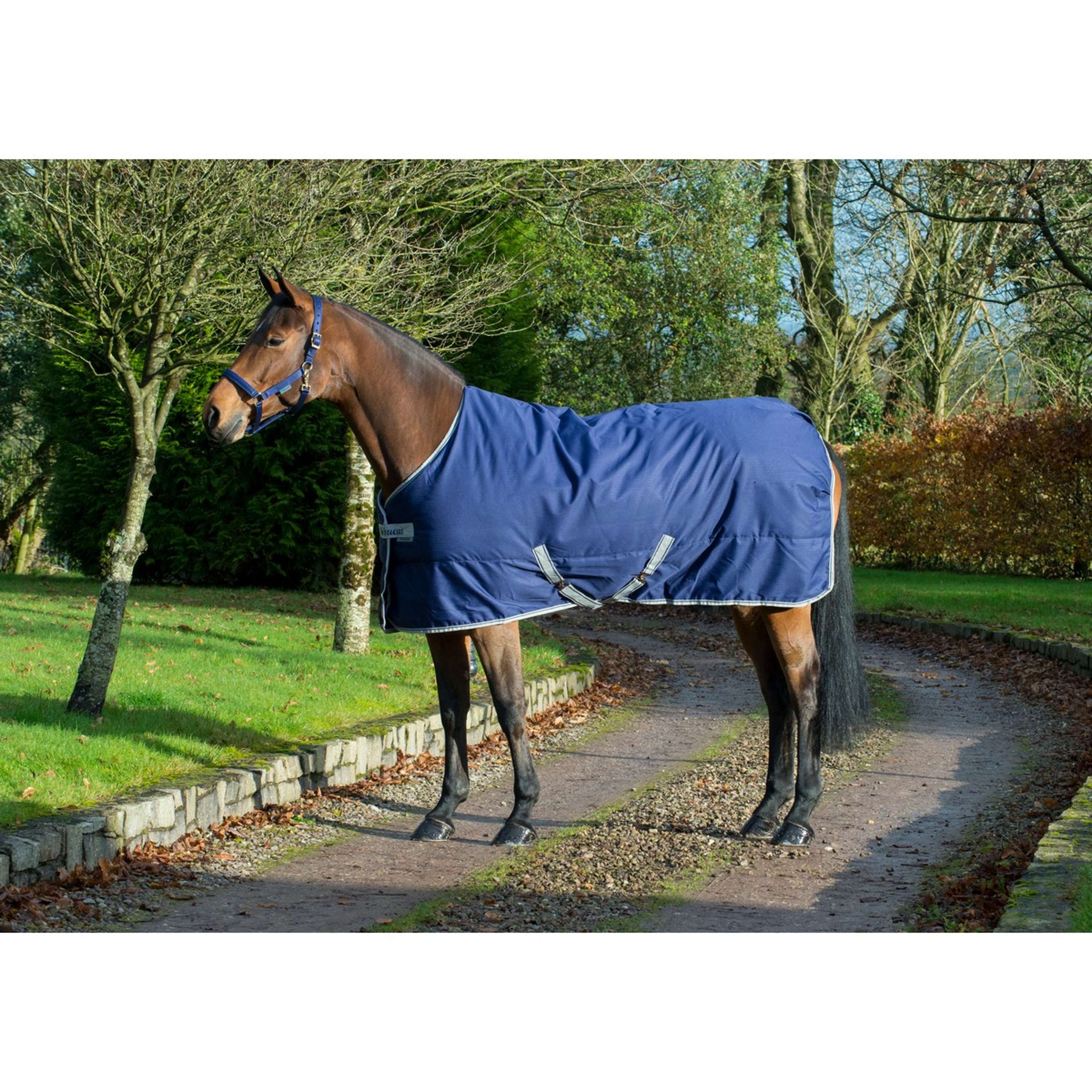 Bucas Freedom Couverture d'Écurie 150g Marin - Image 9