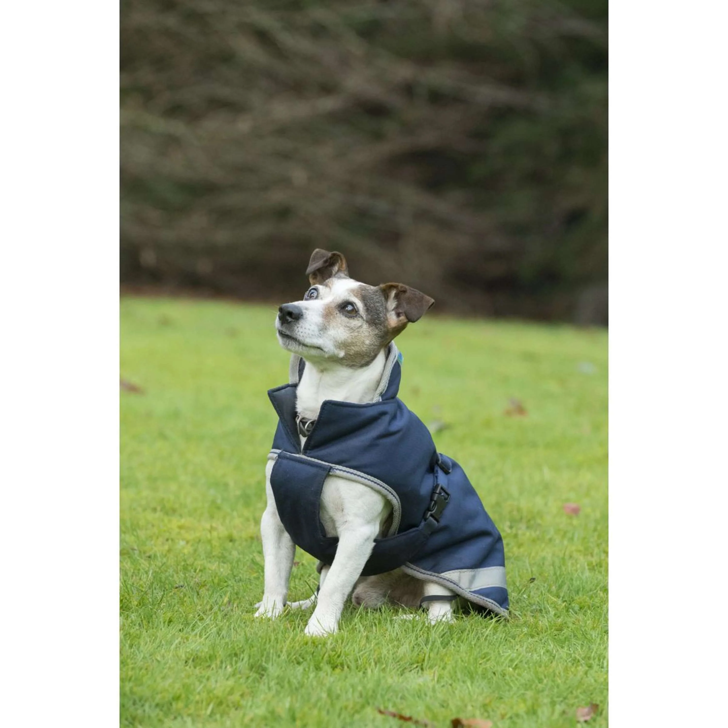 Bucas Freedom Couverture pour Chien 50g Marin - Image 12
