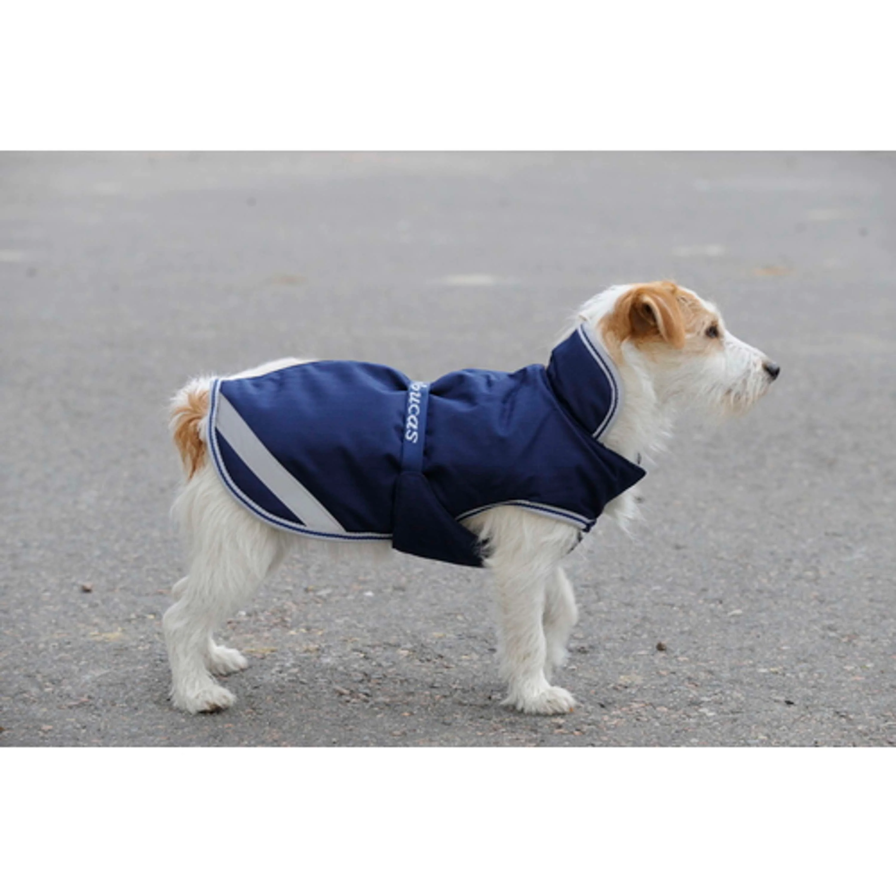 Bucas Freedom Couverture pour Chien 150g Marin - Image 12