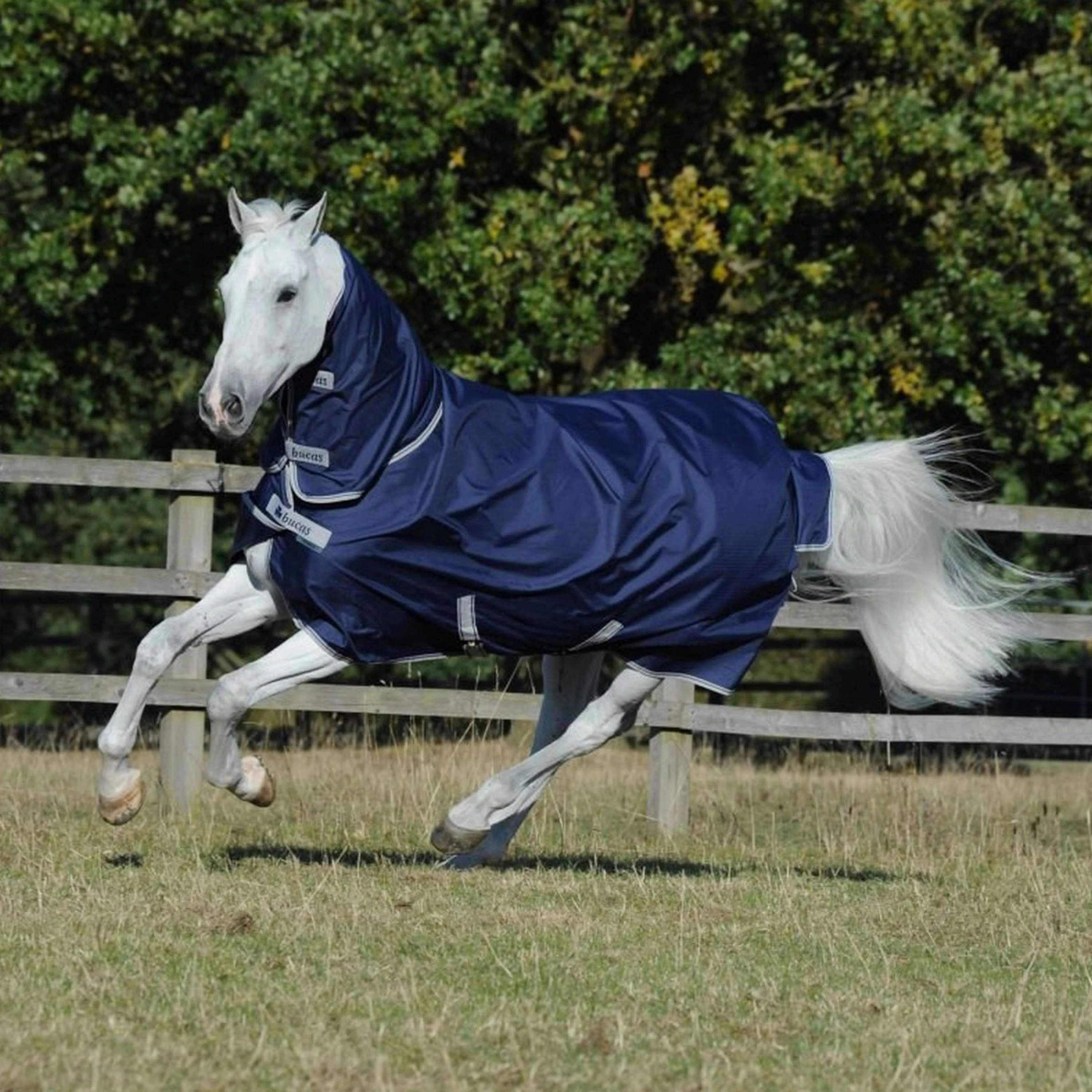 Bucas Freedom Turnout Full Neck 0g Marin - Image 2
