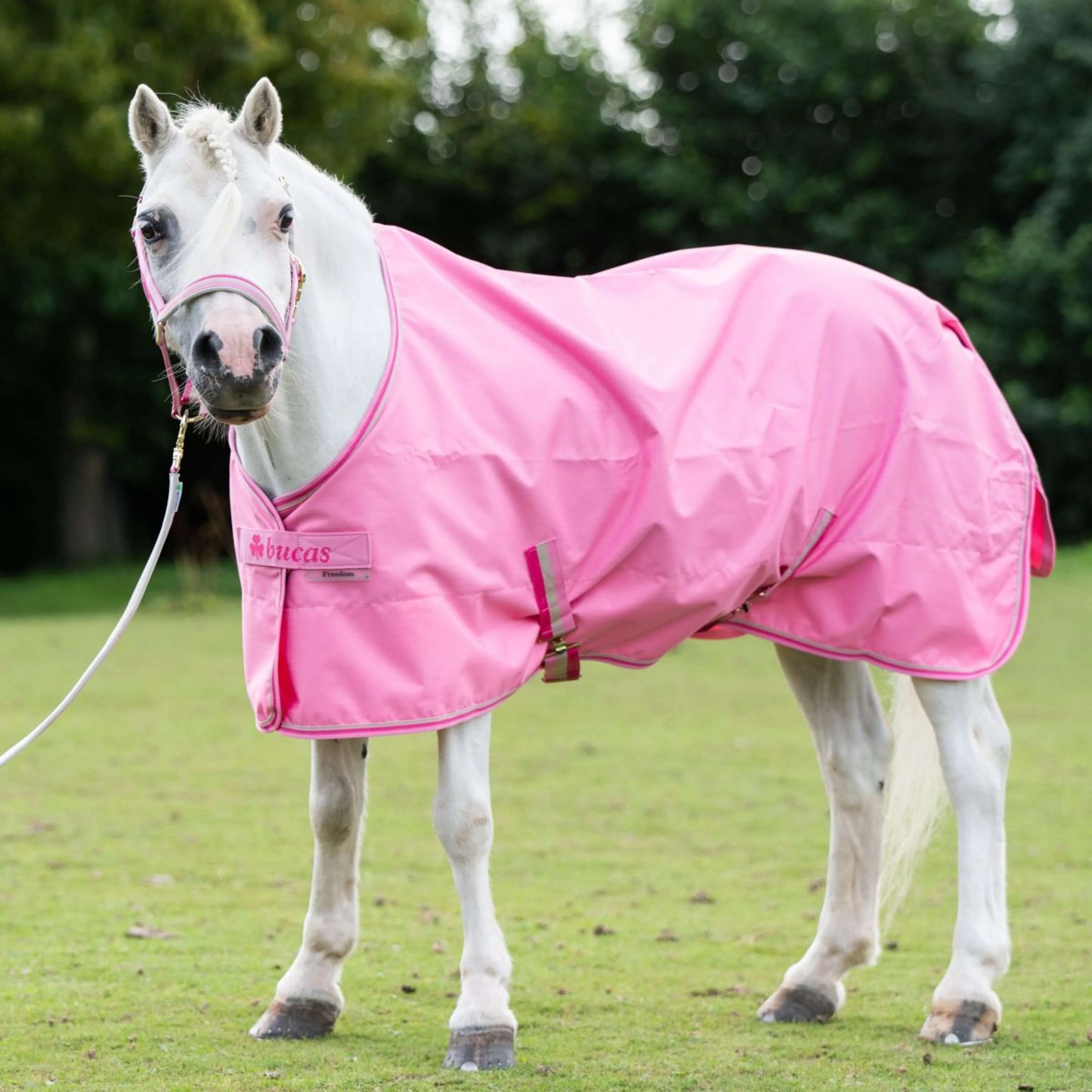 Bucas Freedom Turnout Light 0g Aurora Pink - Image 2