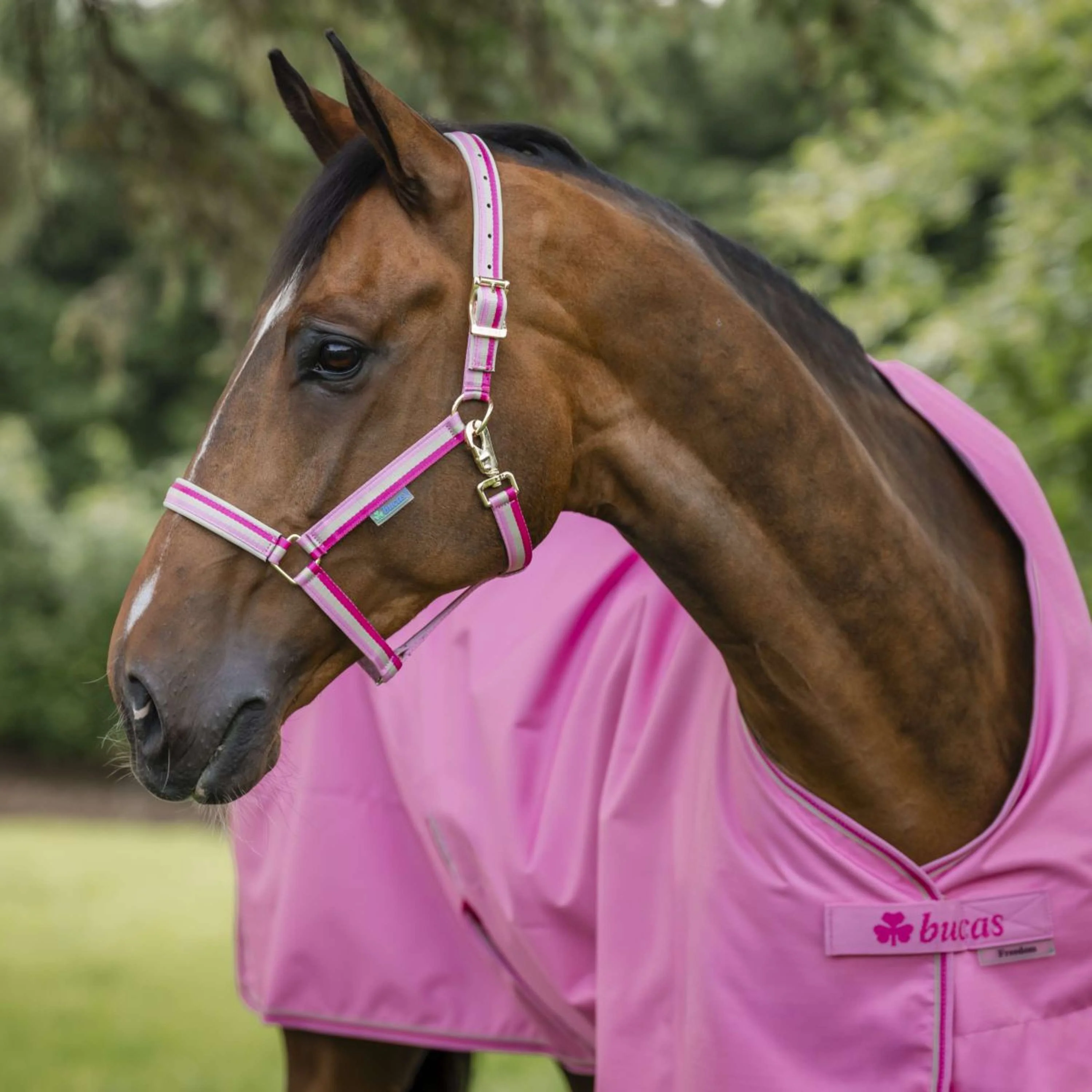 Bucas Freedom Turnout Light 0g Aurora Pink - Image 3