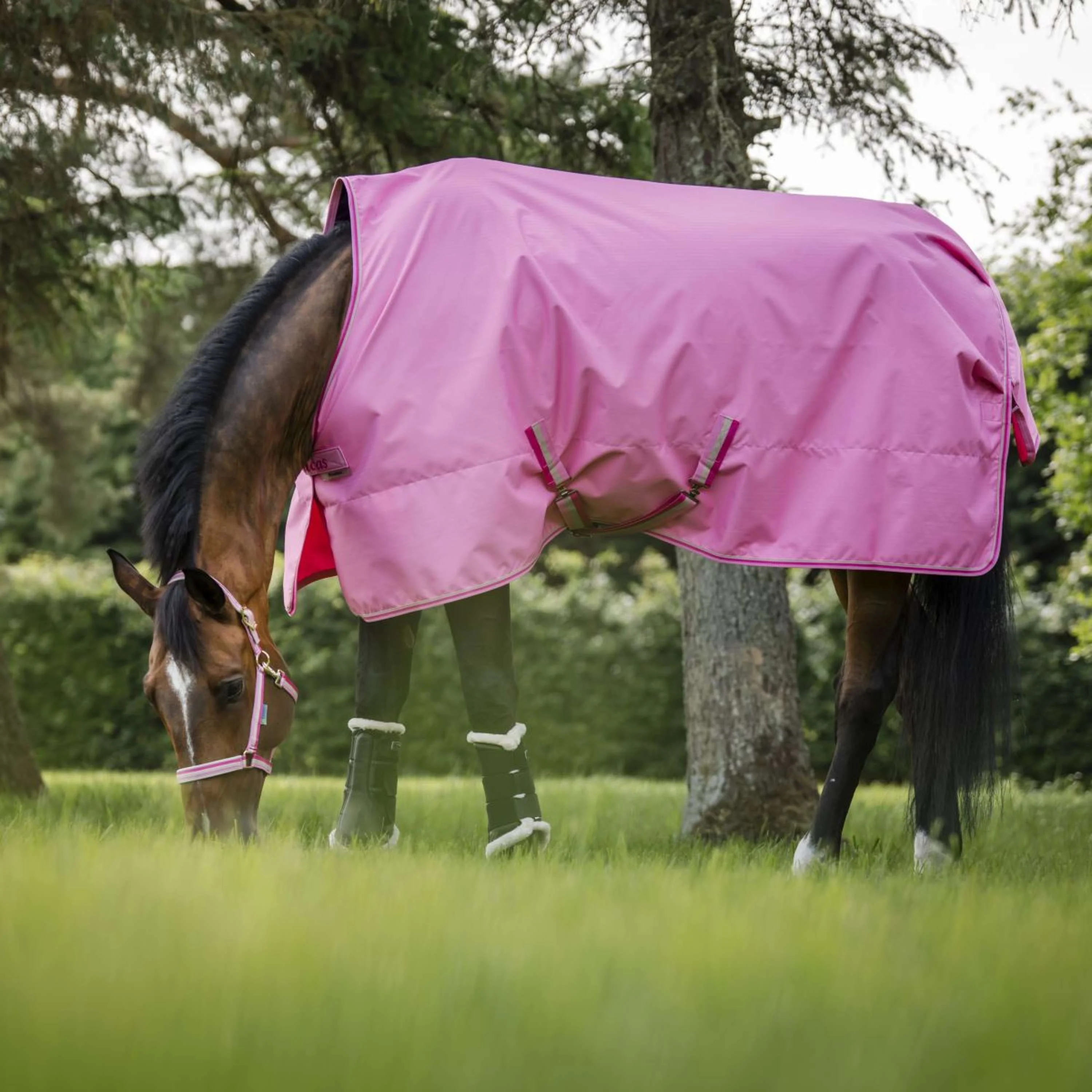 Bucas Freedom Turnout Light 0g Aurora Pink - Image 5
