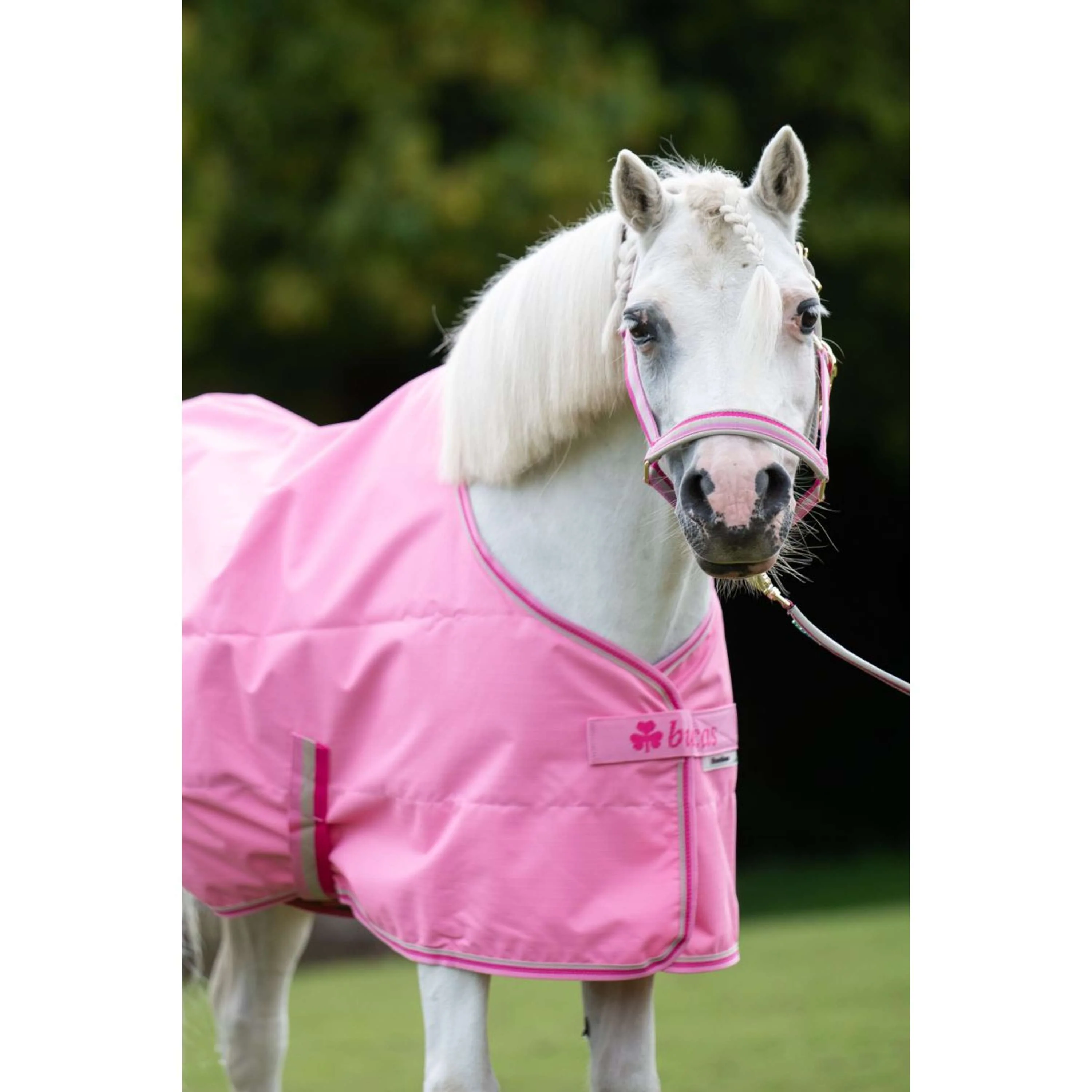 Bucas Freedom Turnout Light 0g Aurora Pink - Image 8