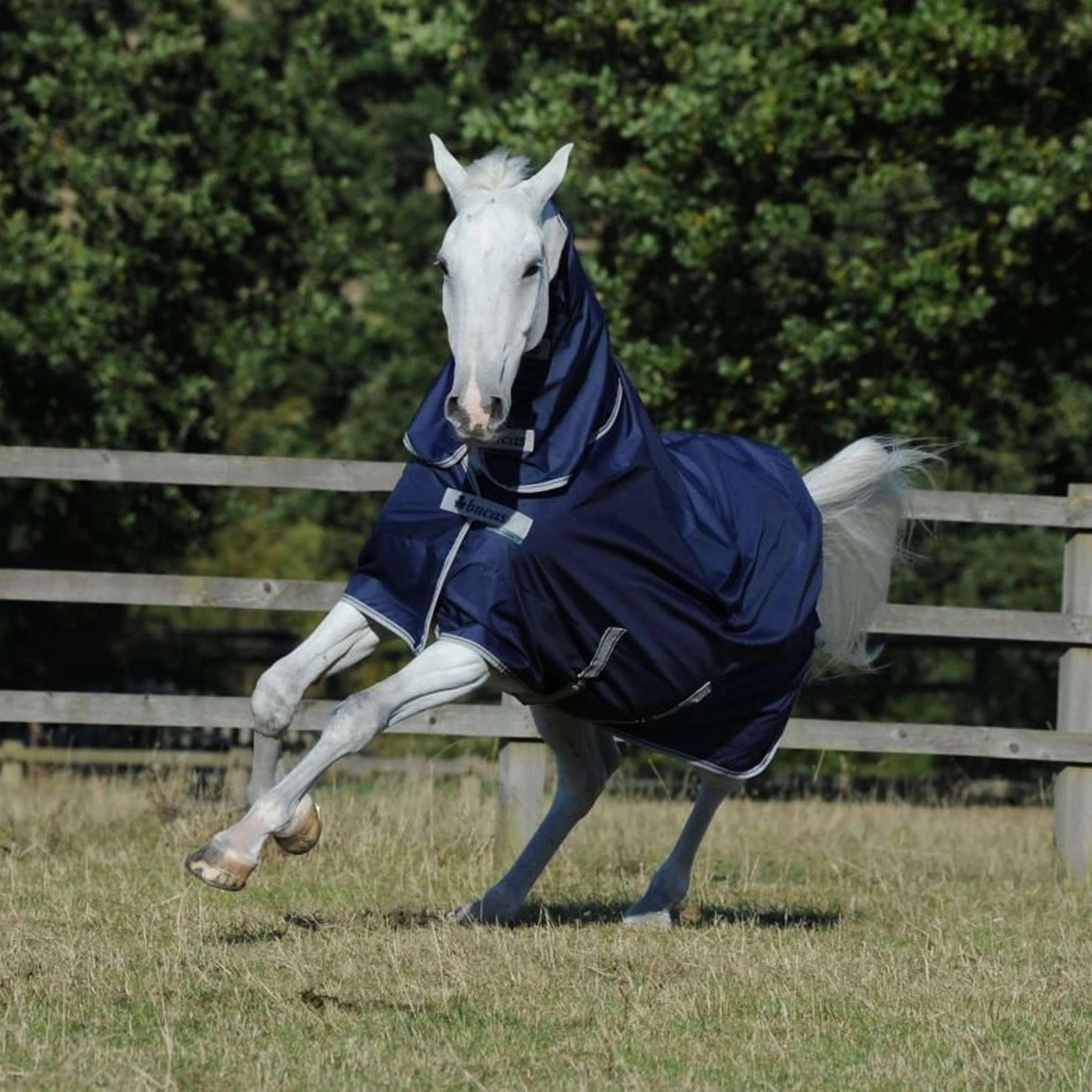 Bucas Freedom Turnout + Neck 100g Marin - Image 2
