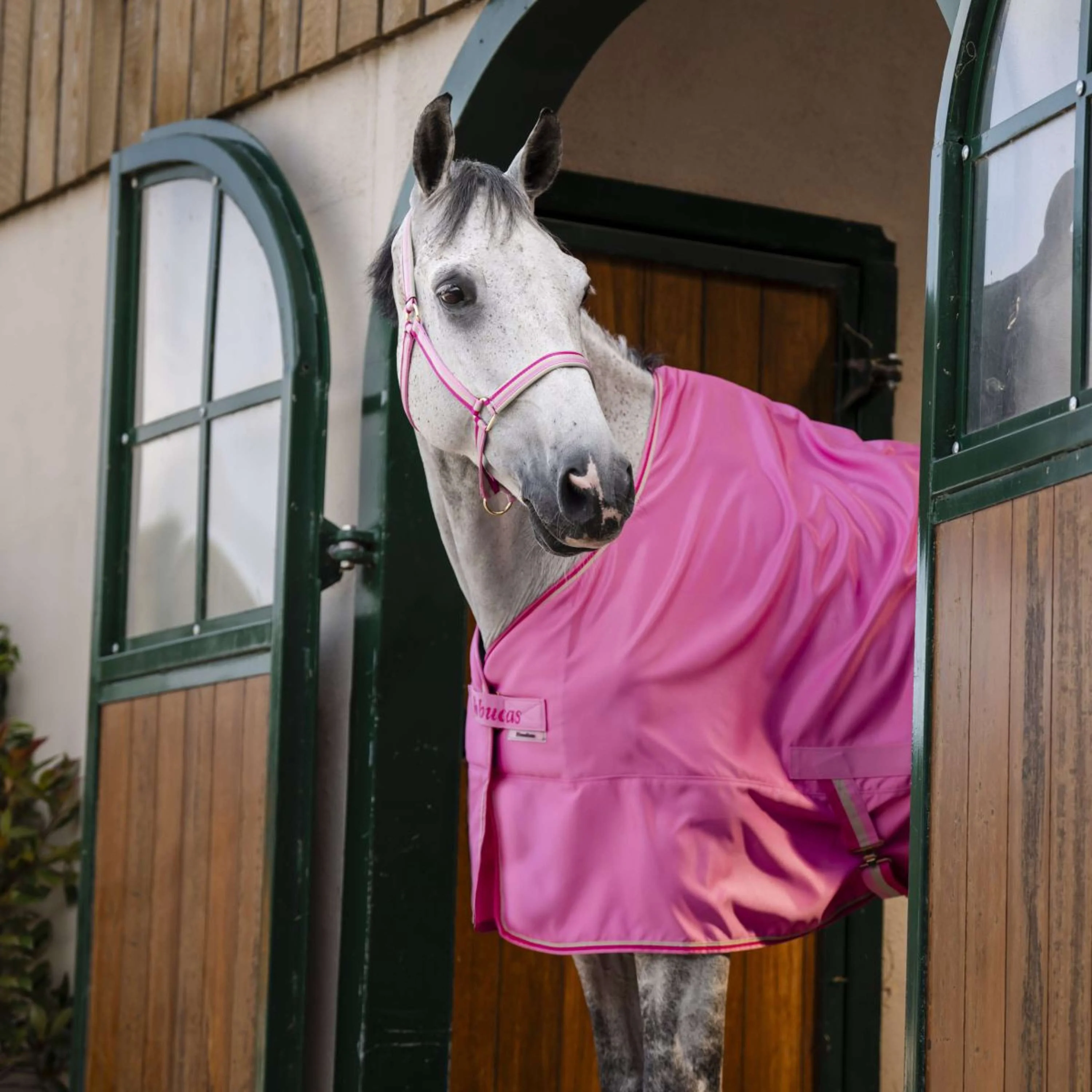 Bucas Freedom Twill Sheet 0g Aurora Pink - Image 3