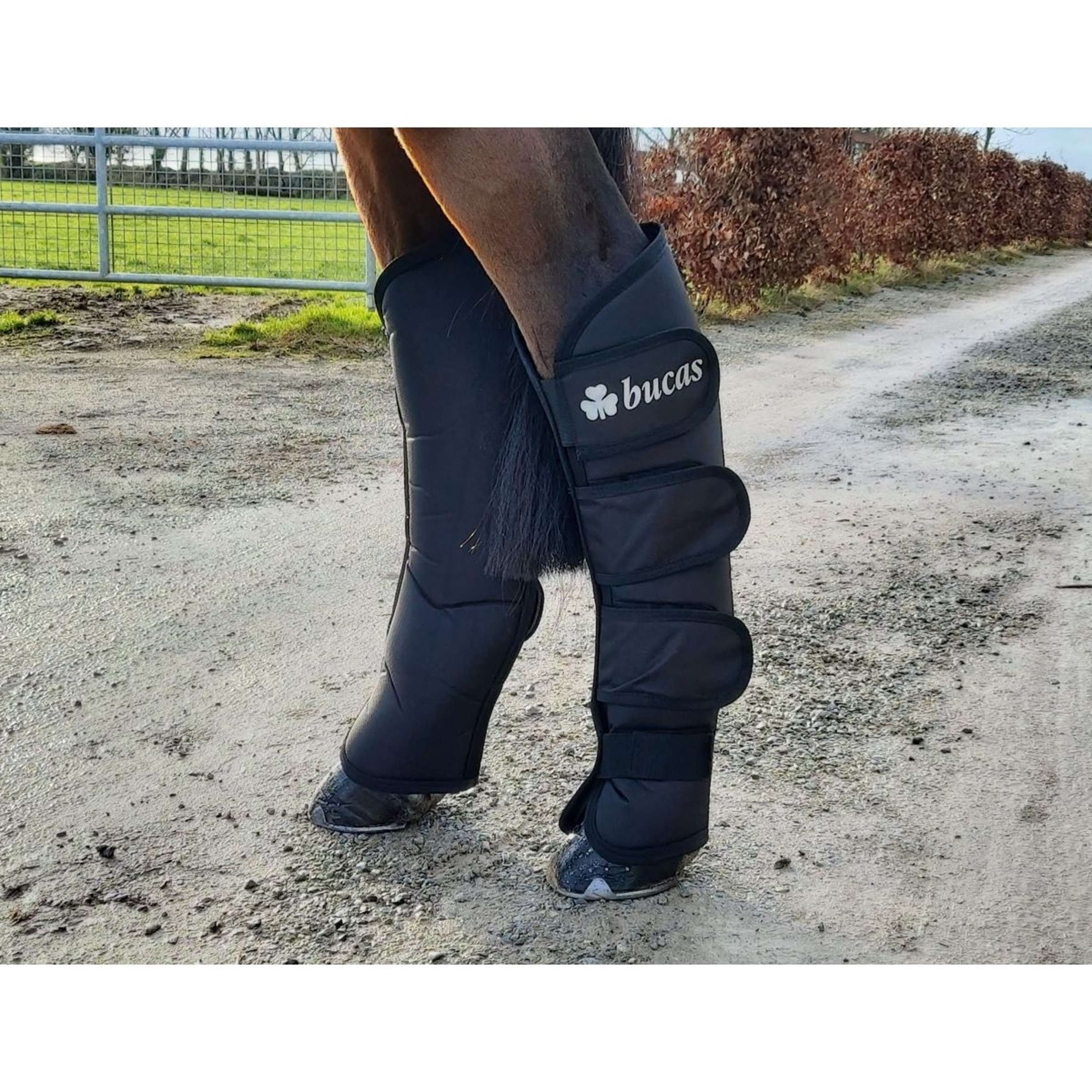 Bucas Guêtres de Transport Boots 2020 Noir - Image 9