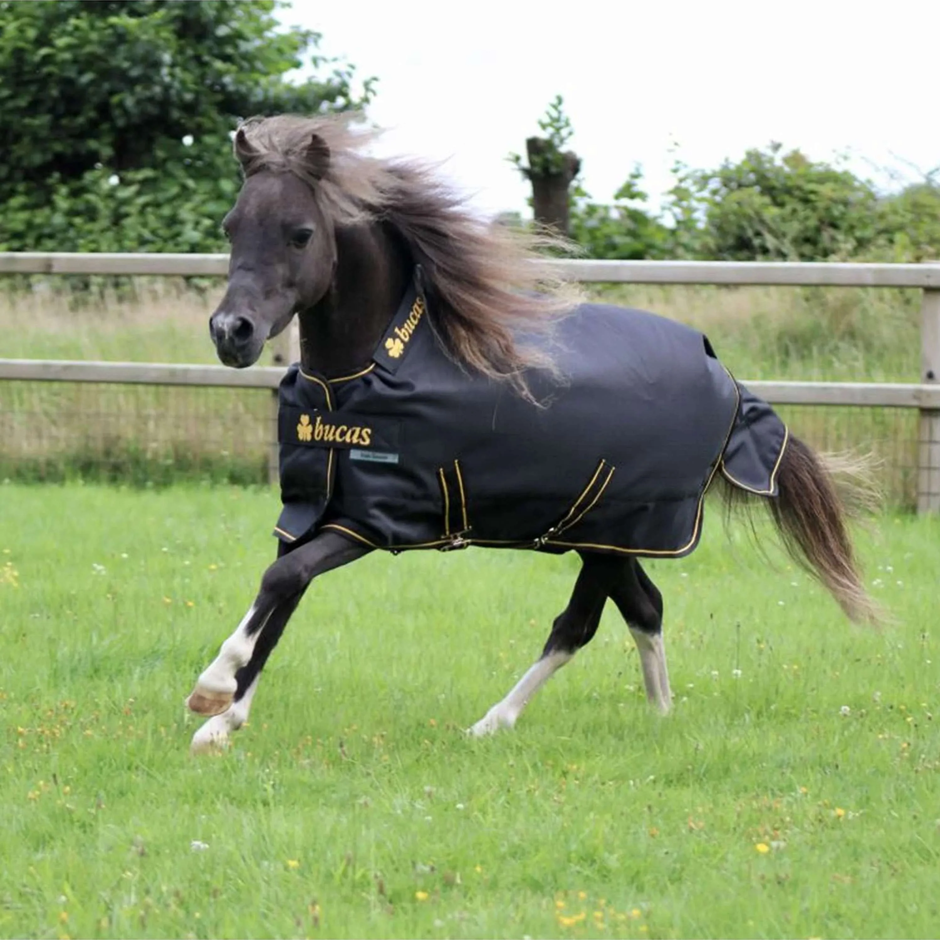 Bucas Irish Turnout 100g Noir/Or - Image 3