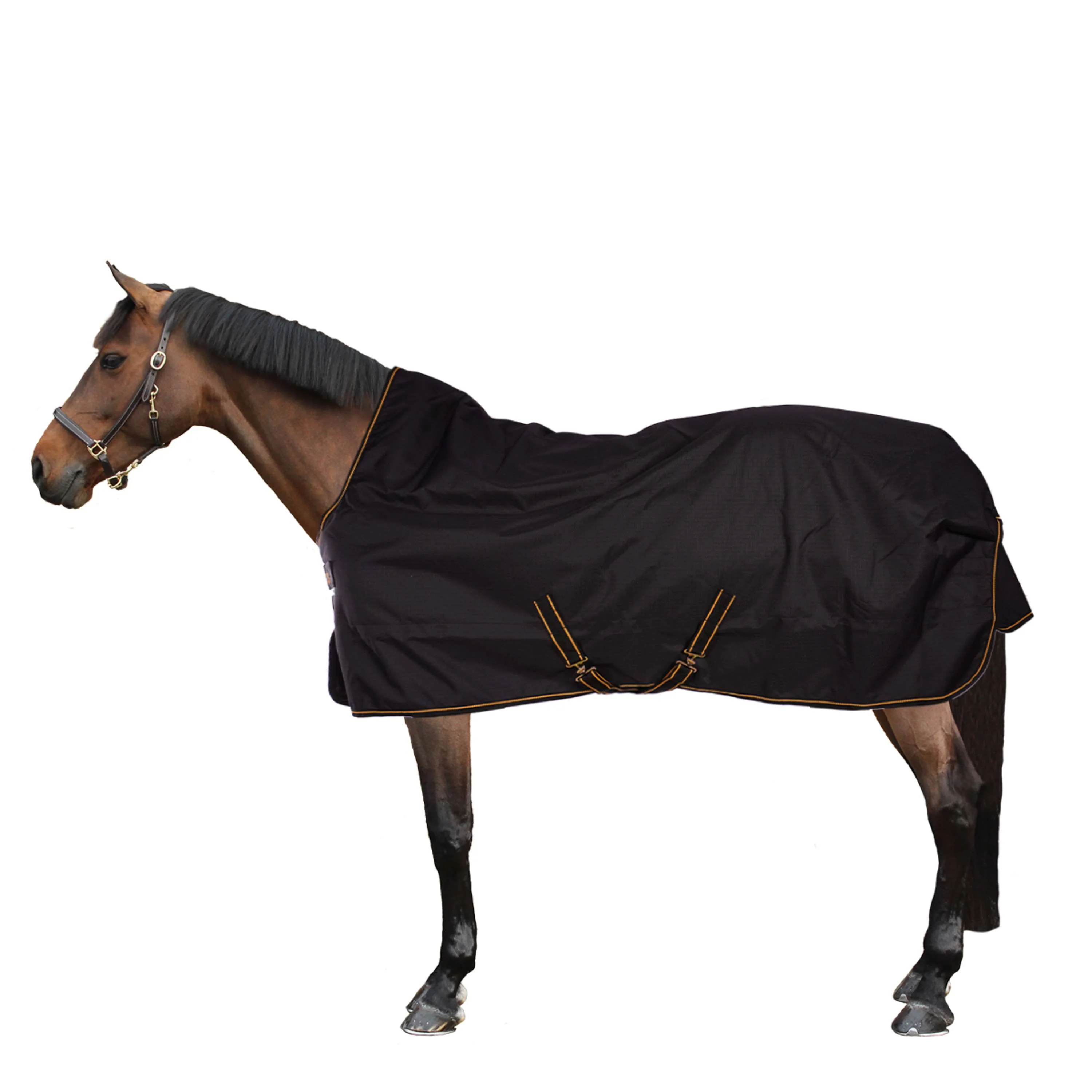 Bucas Irish Turnout Light Highneck 50g Noir/Or - Image 2