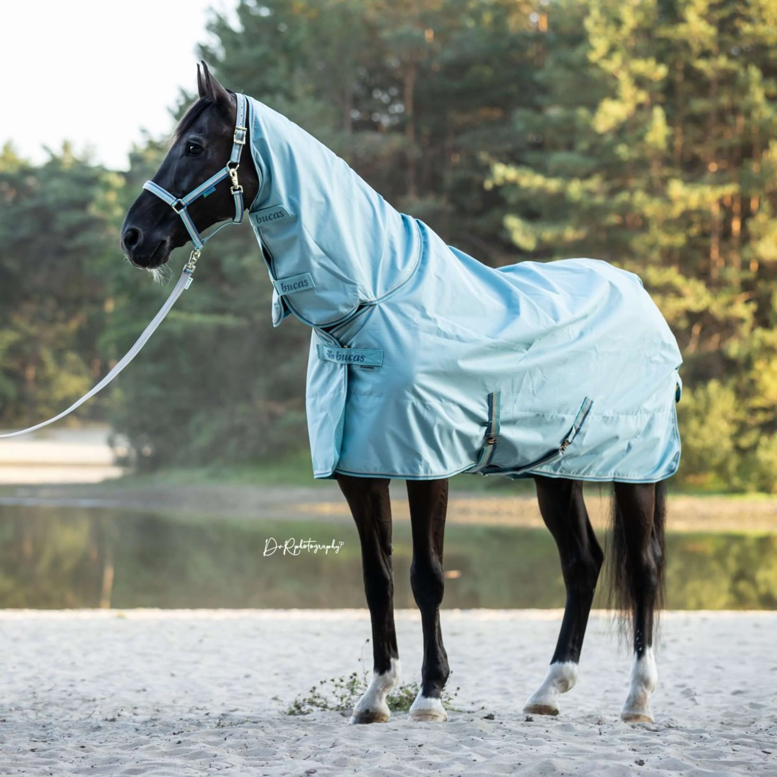 Bucas Lead Rein Dublin Padded Turquoise - Image 3