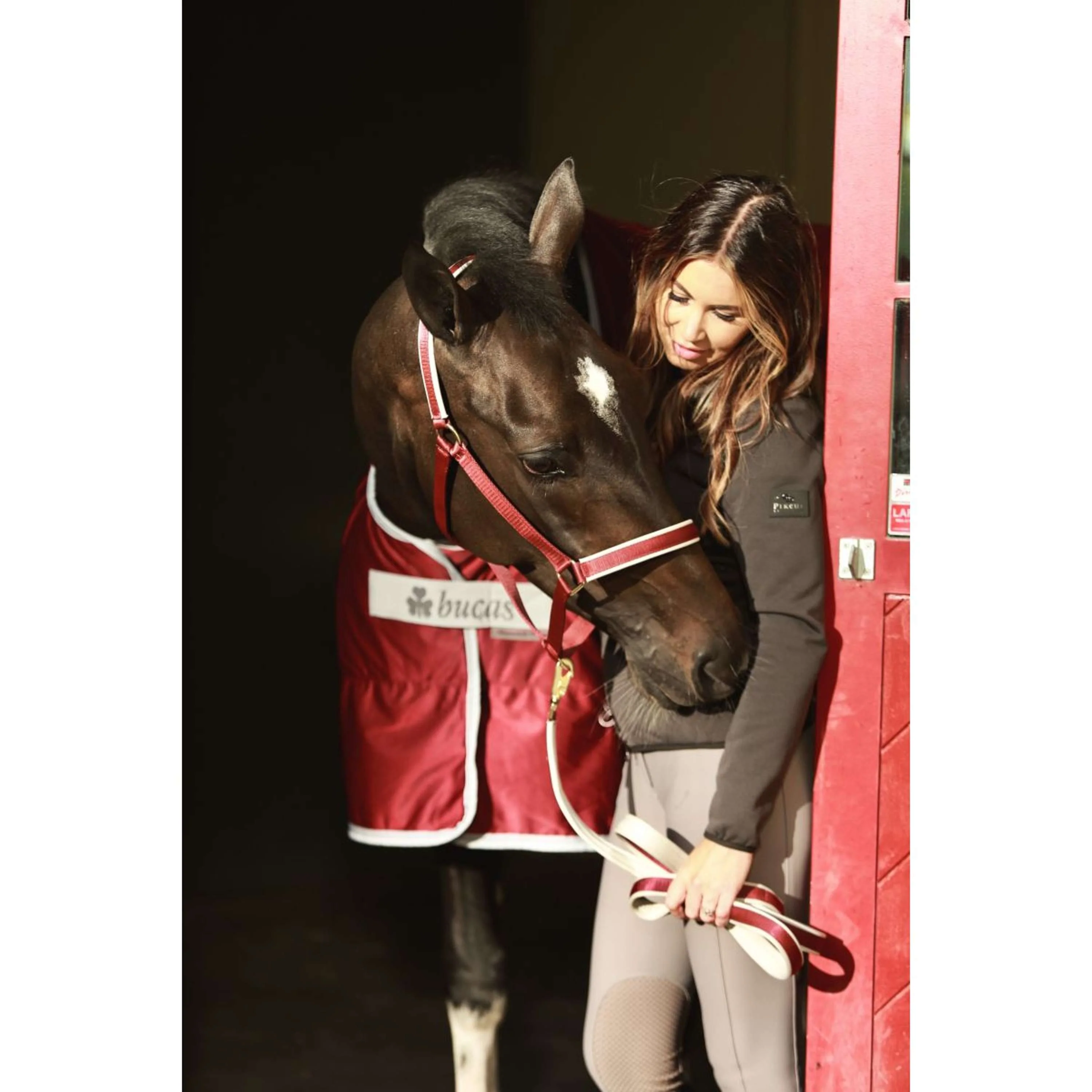 Bucas Lead Rein Dublin Padded Wine/Silver - Image 2
