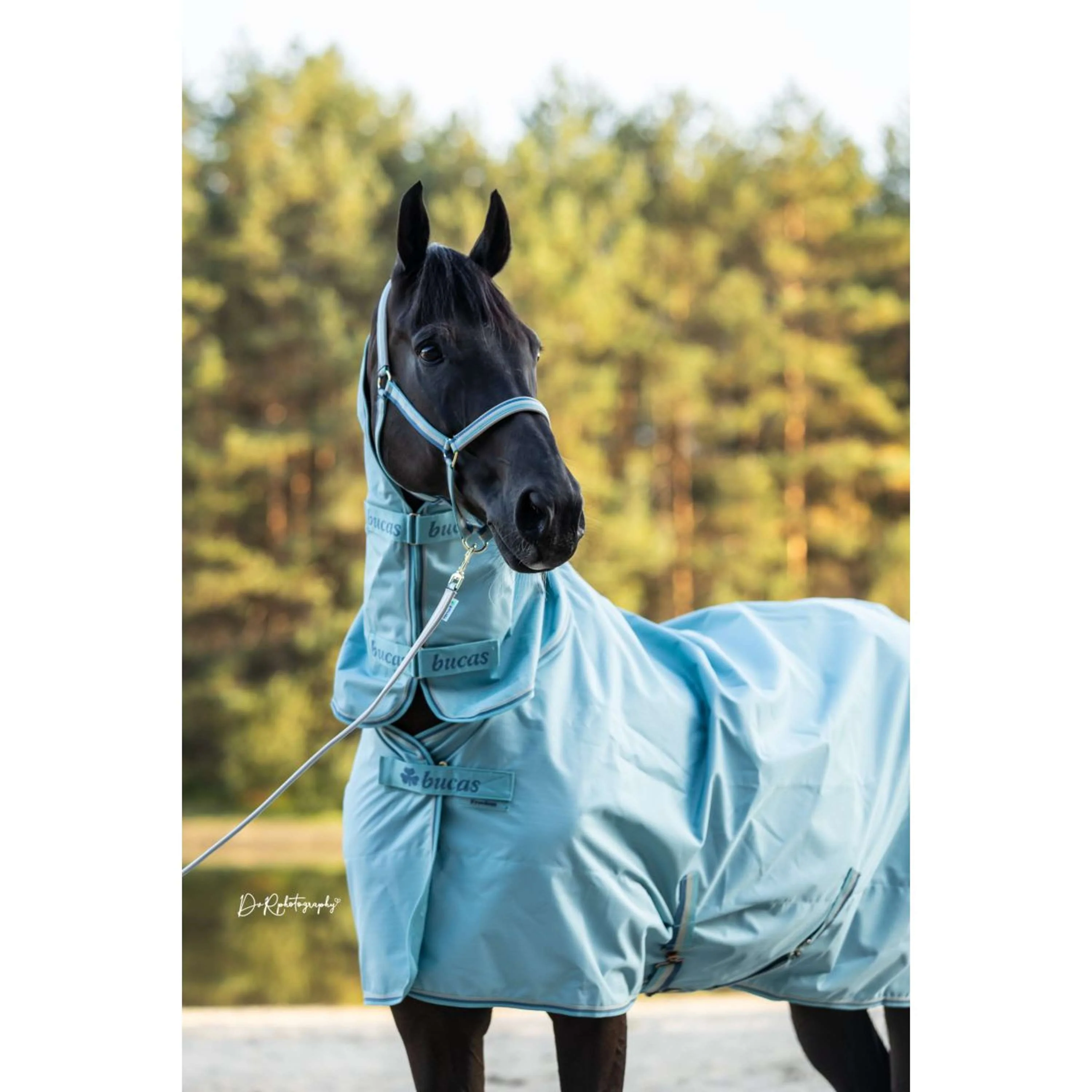 Bucas Lead Rein Dublin Padded Turquoise - Image 2