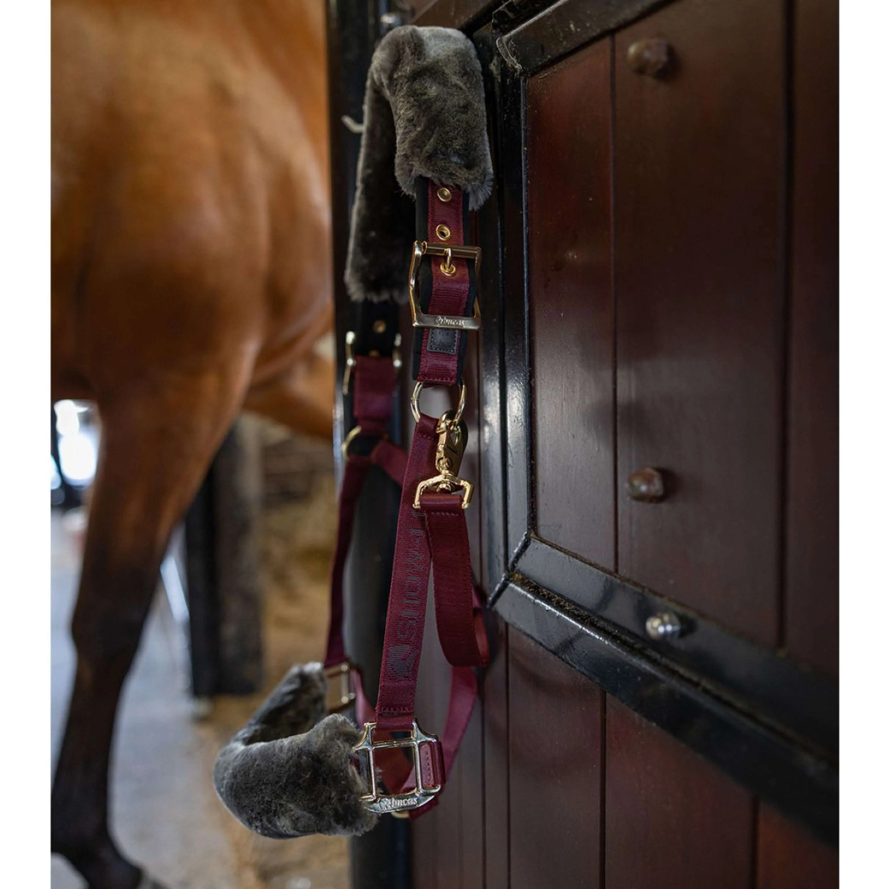 Bucas Licol Show-Line Burgundy/Black - Image 2