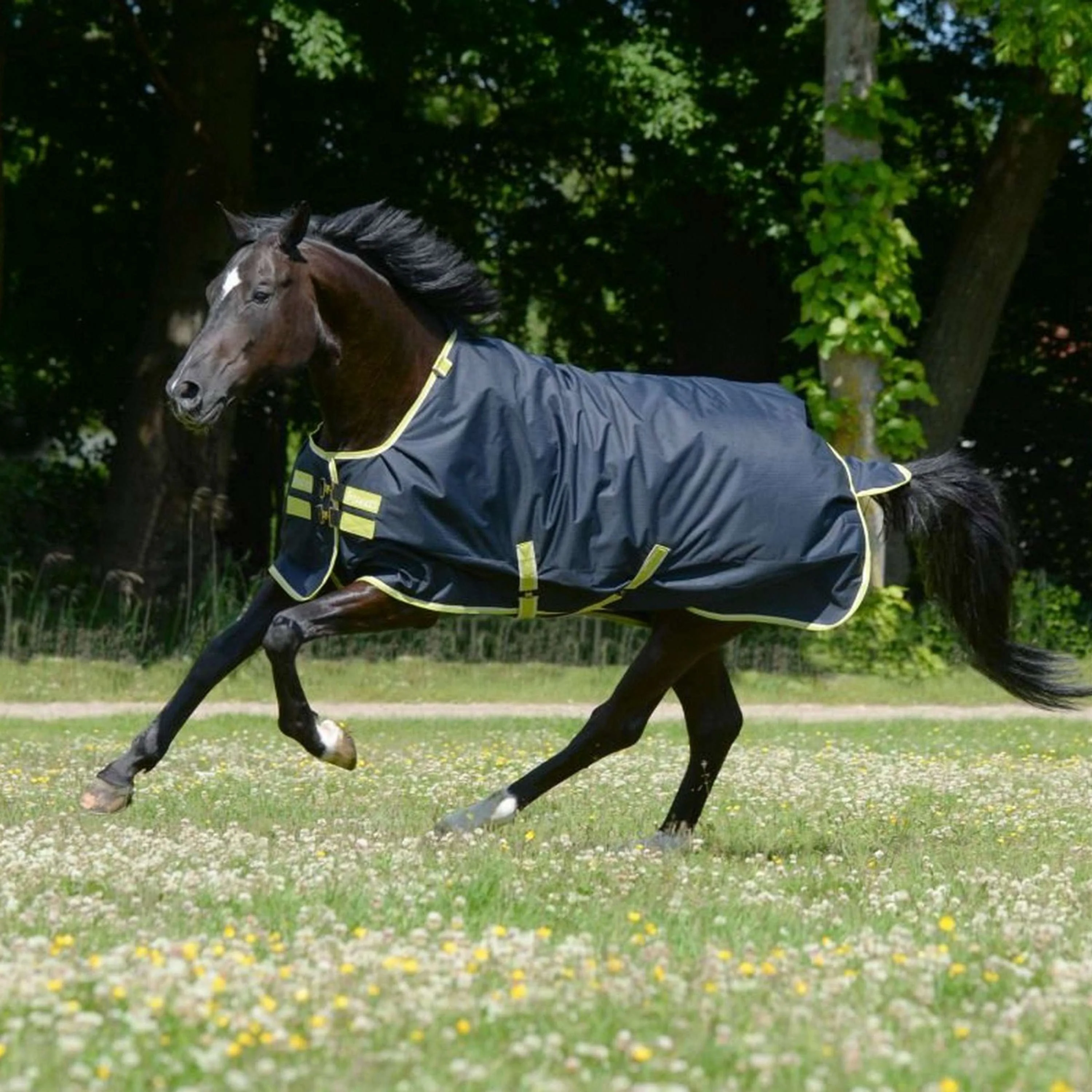 Bucas Oasis Turnout Neck 100g Dark Grey/Lime - Image 2