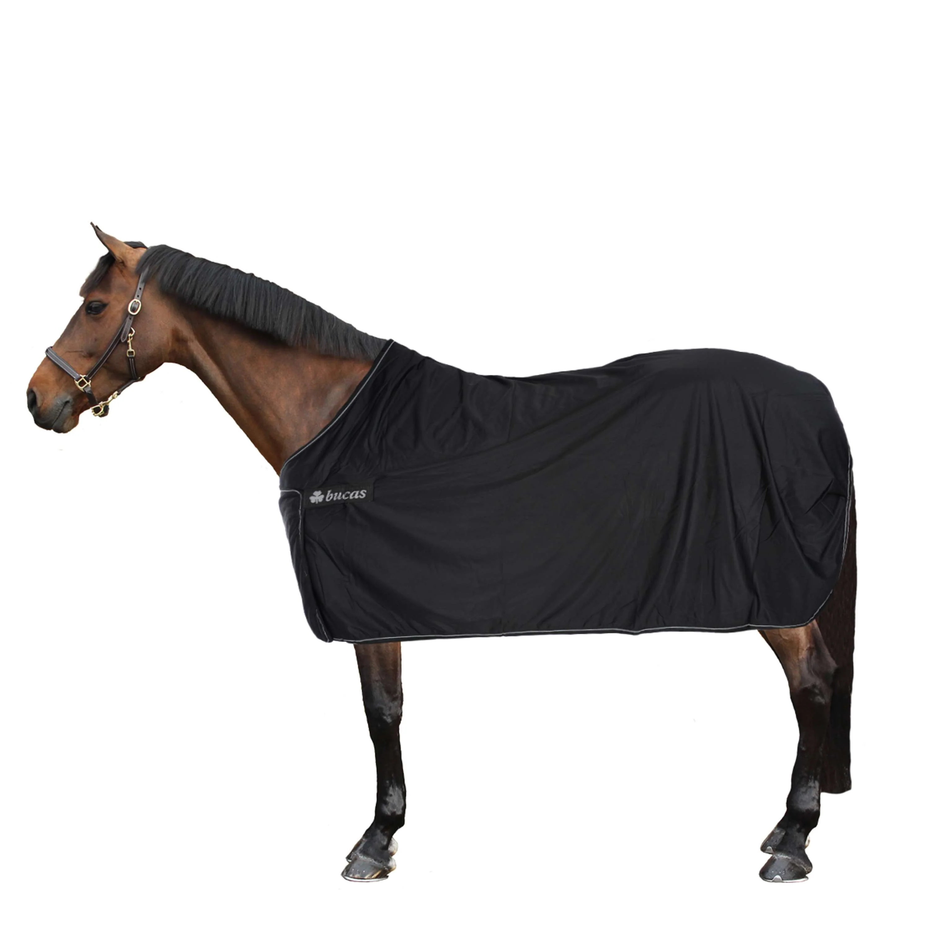 Bucas Panel Prize Cooler Black/Silver - Image 2