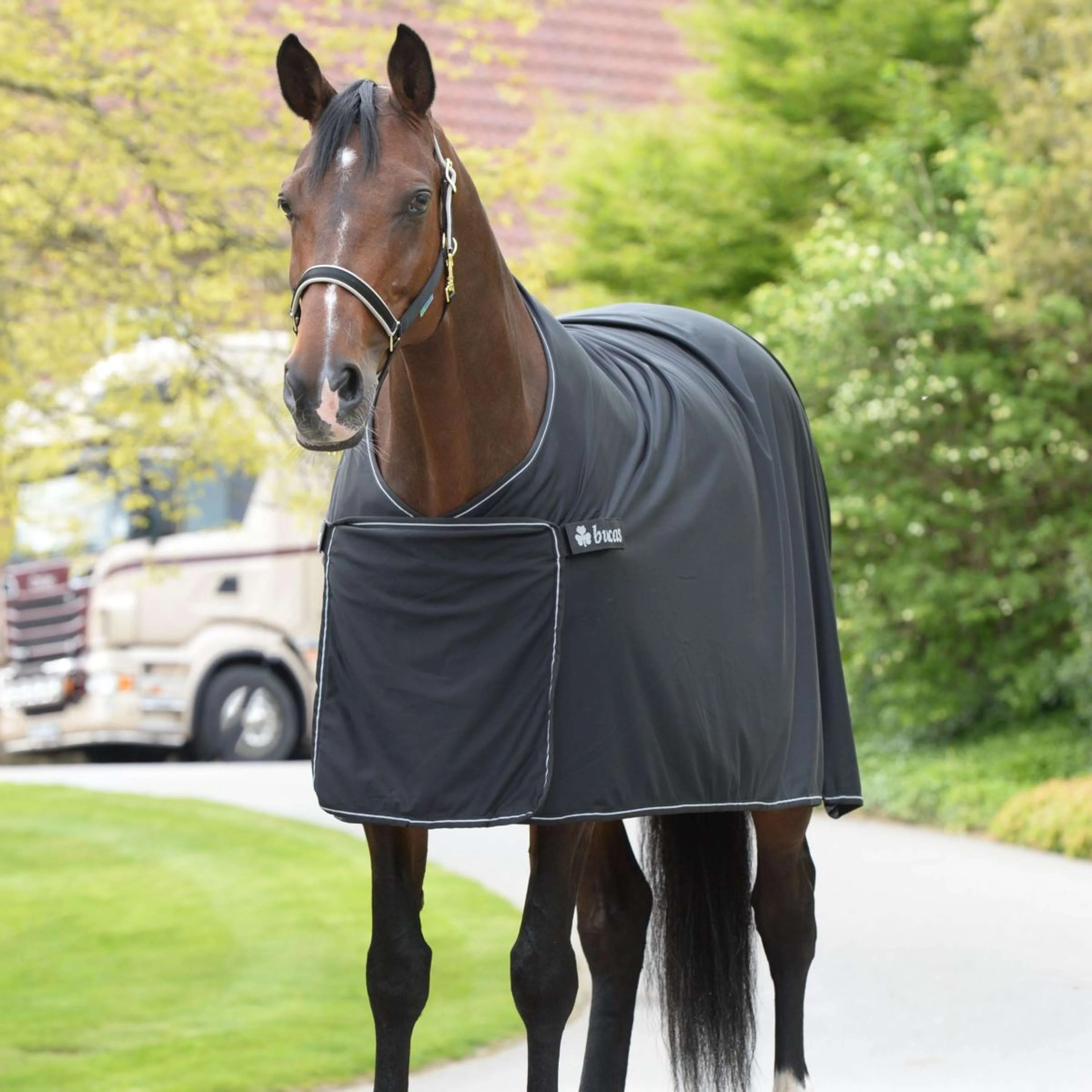 Bucas Panel Prize Cooler Black/Silver - Image 9